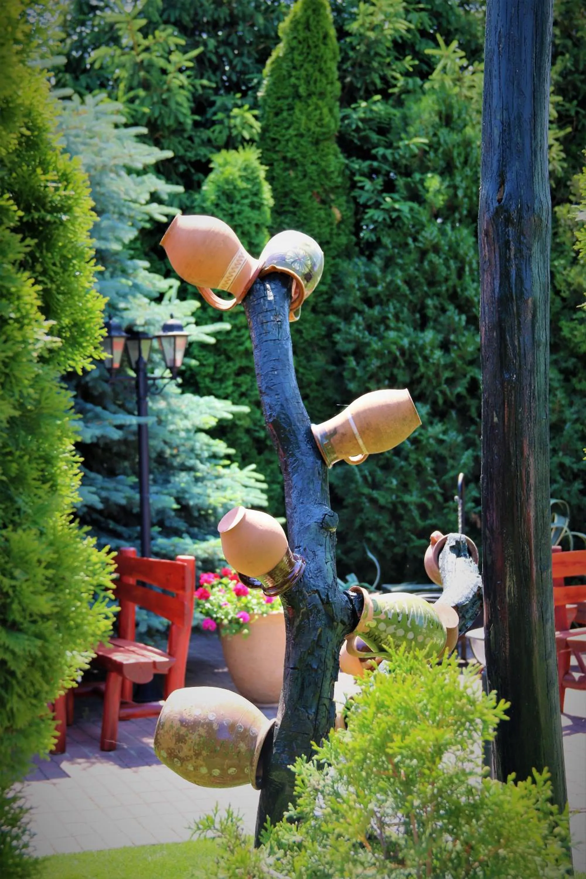 Garden in Halász Airport Panzio