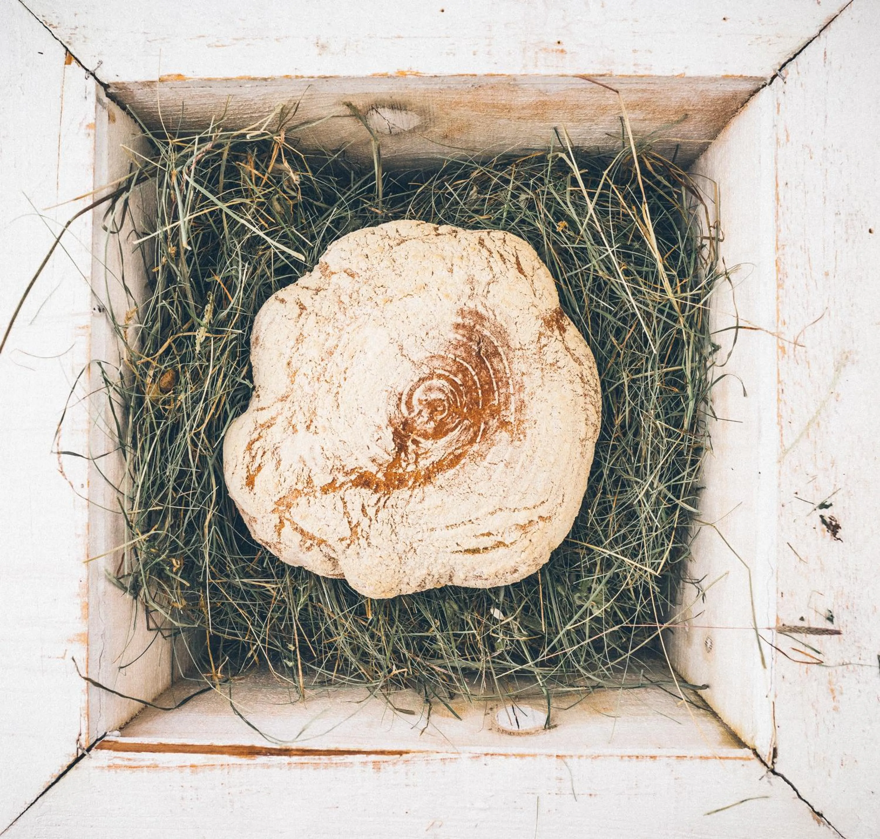 Food in Alpen-Comfort-Hotel Central