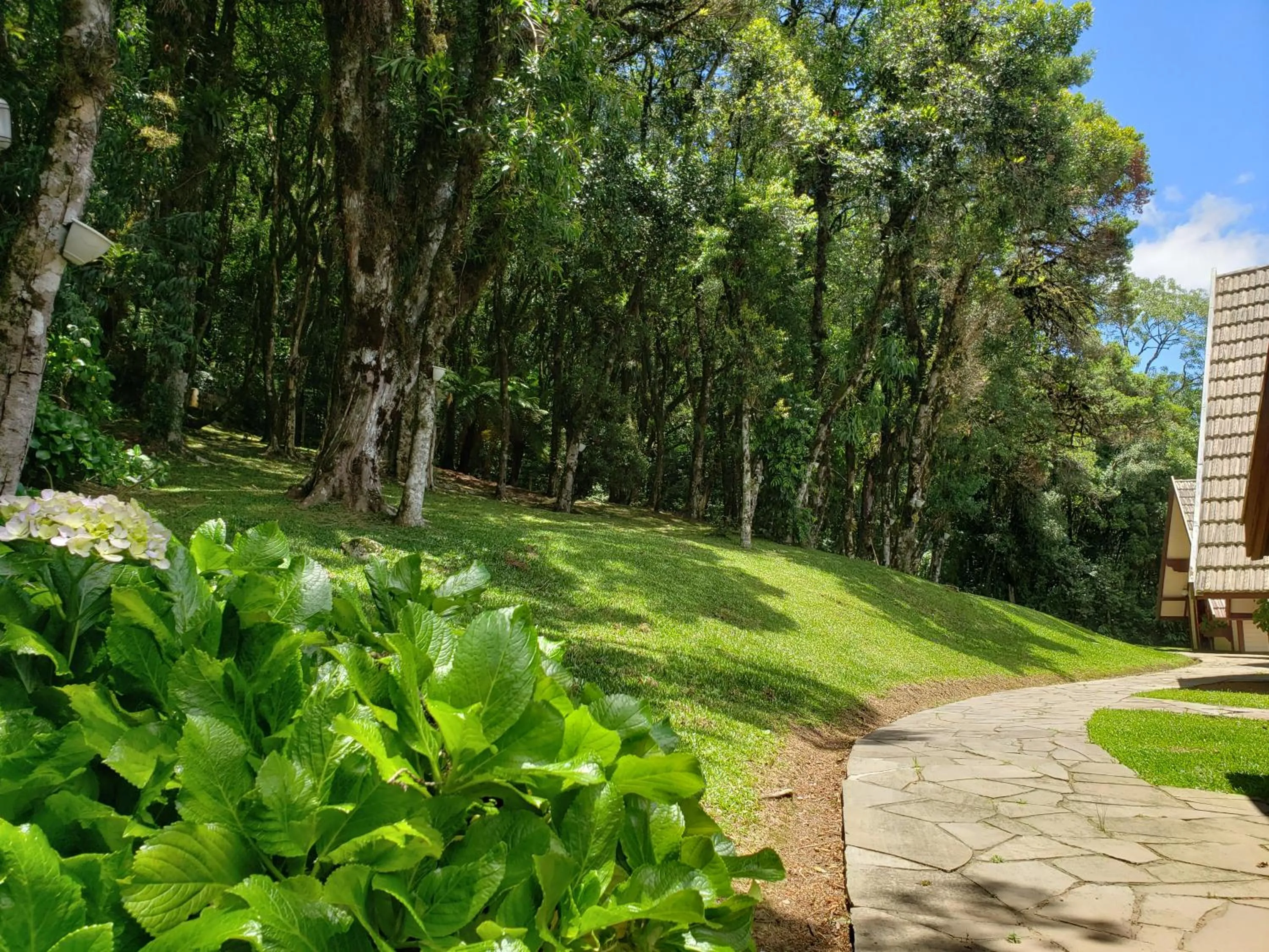 Natural landscape in Hotel Pousada das Flores