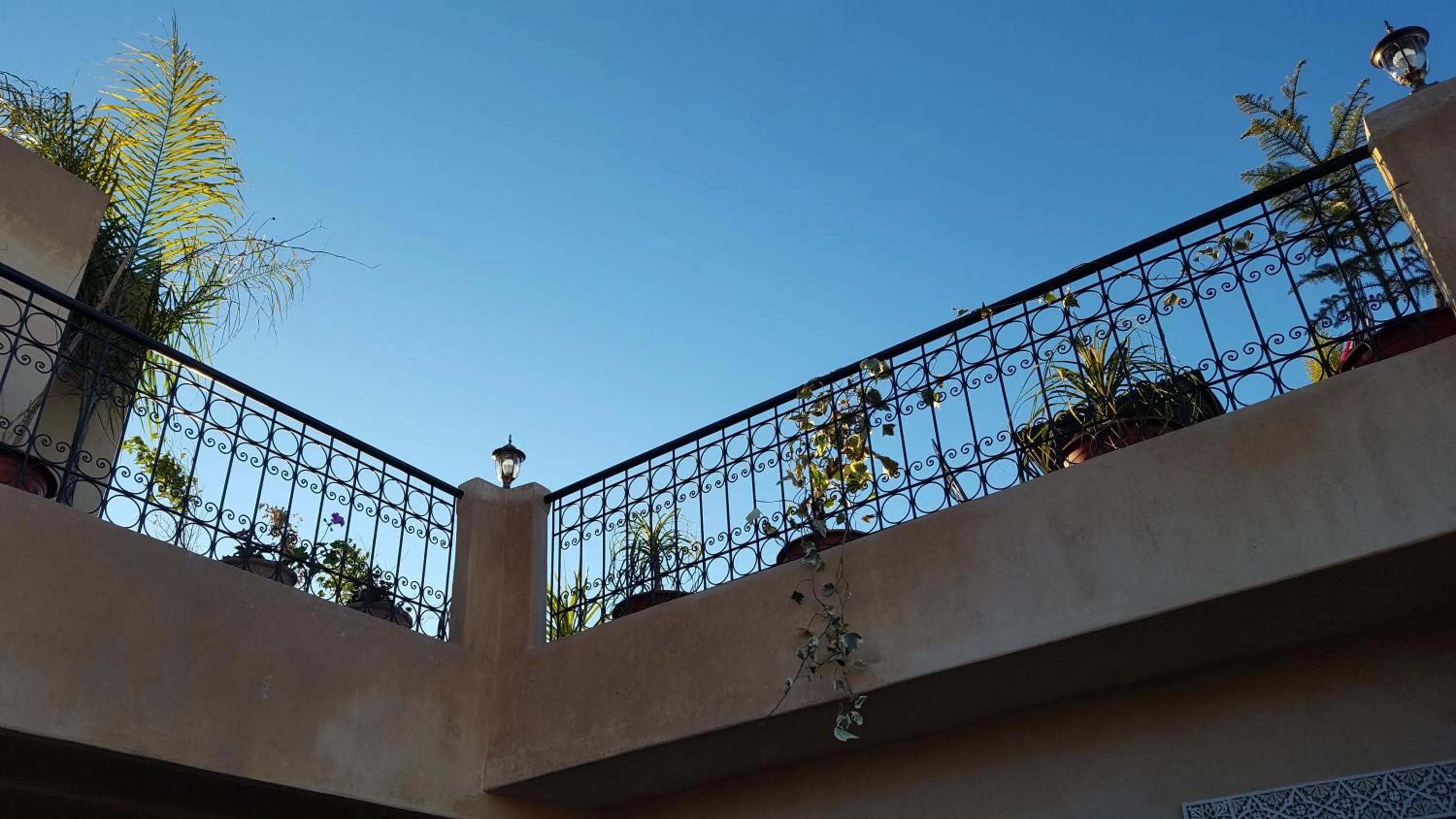 Garden view in Dar Nour Fes