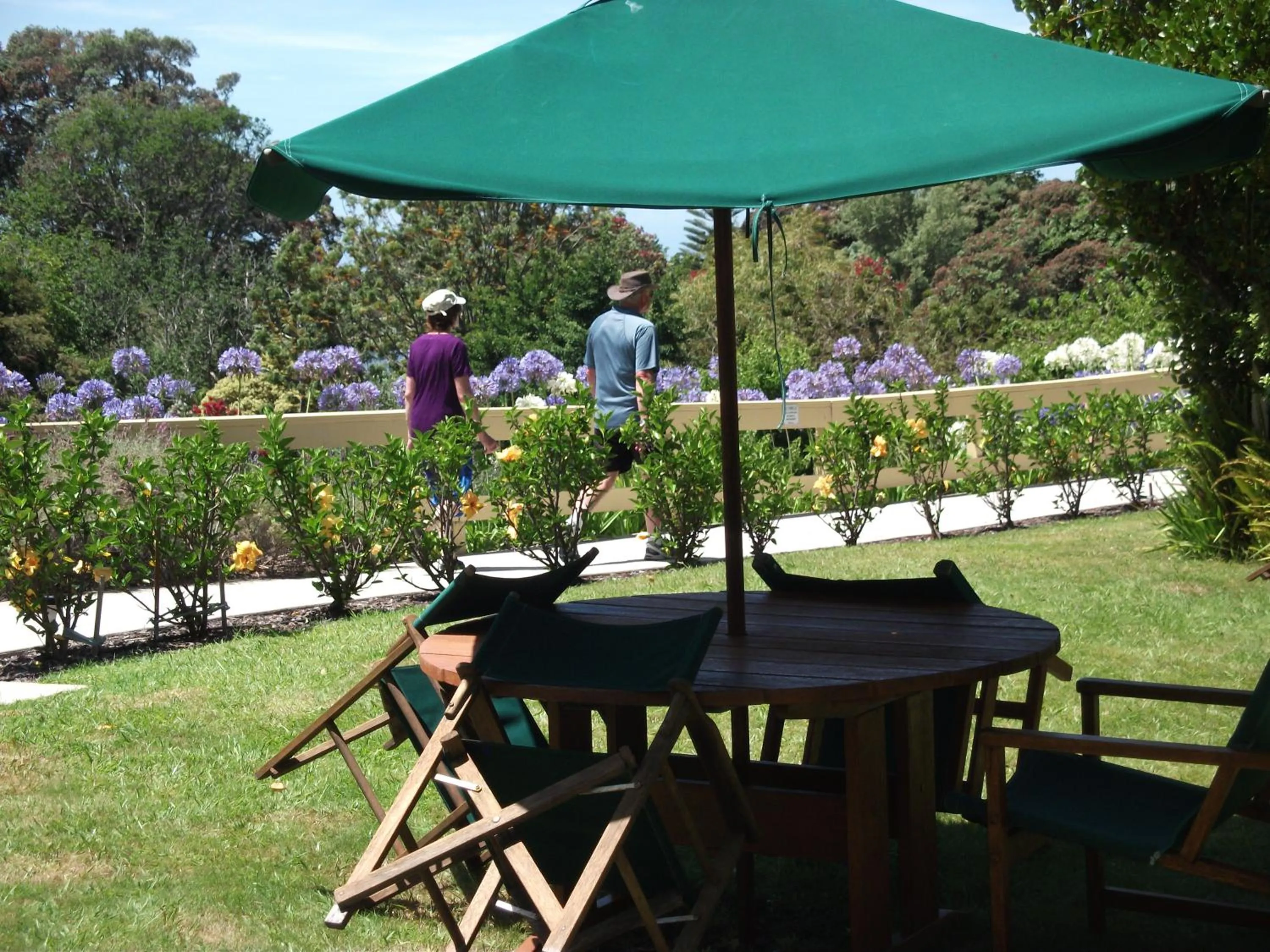 Garden in Tatahi Cove Back Packer