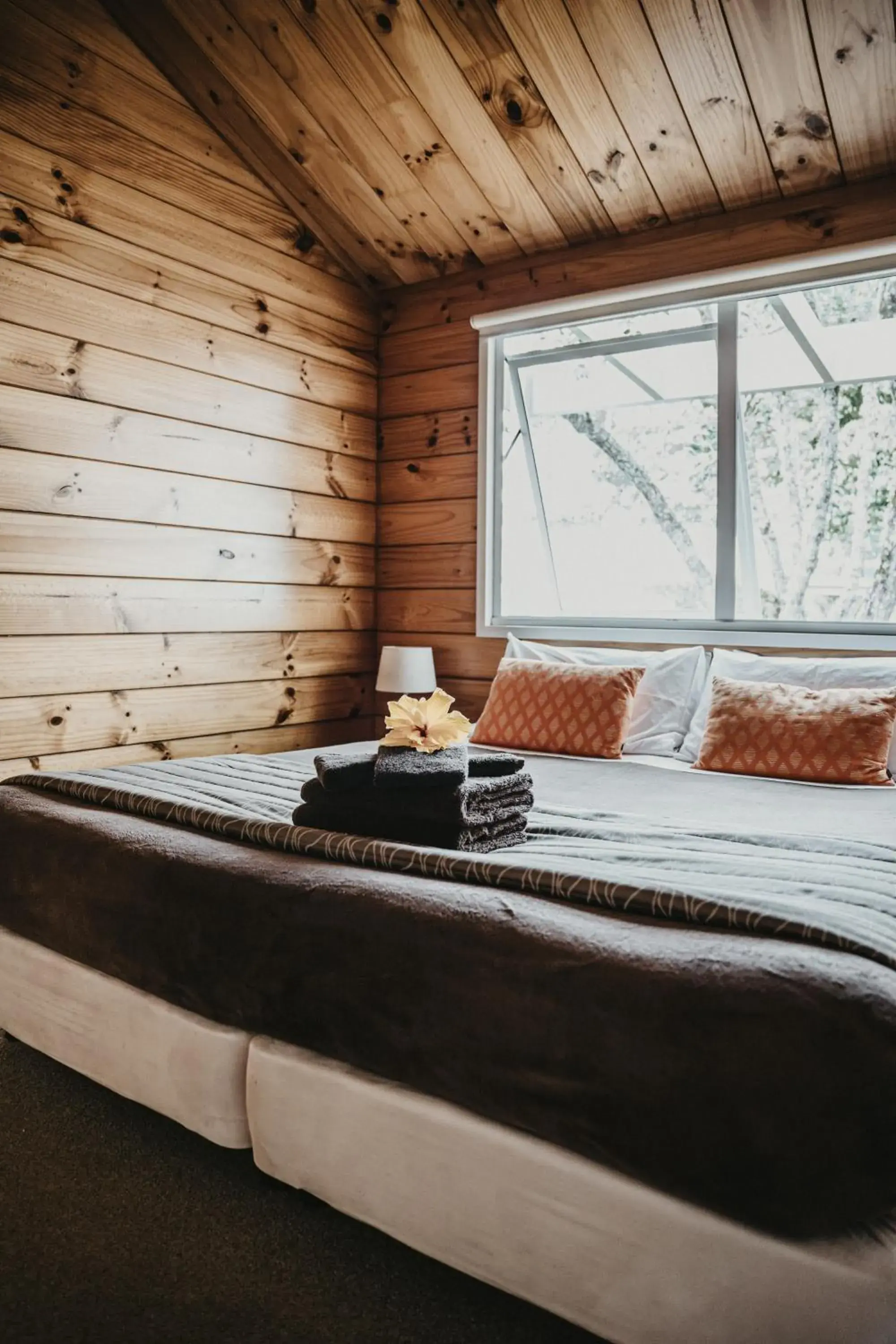 Tatahi Cove Back Packer Tatahi Cove Back Packer