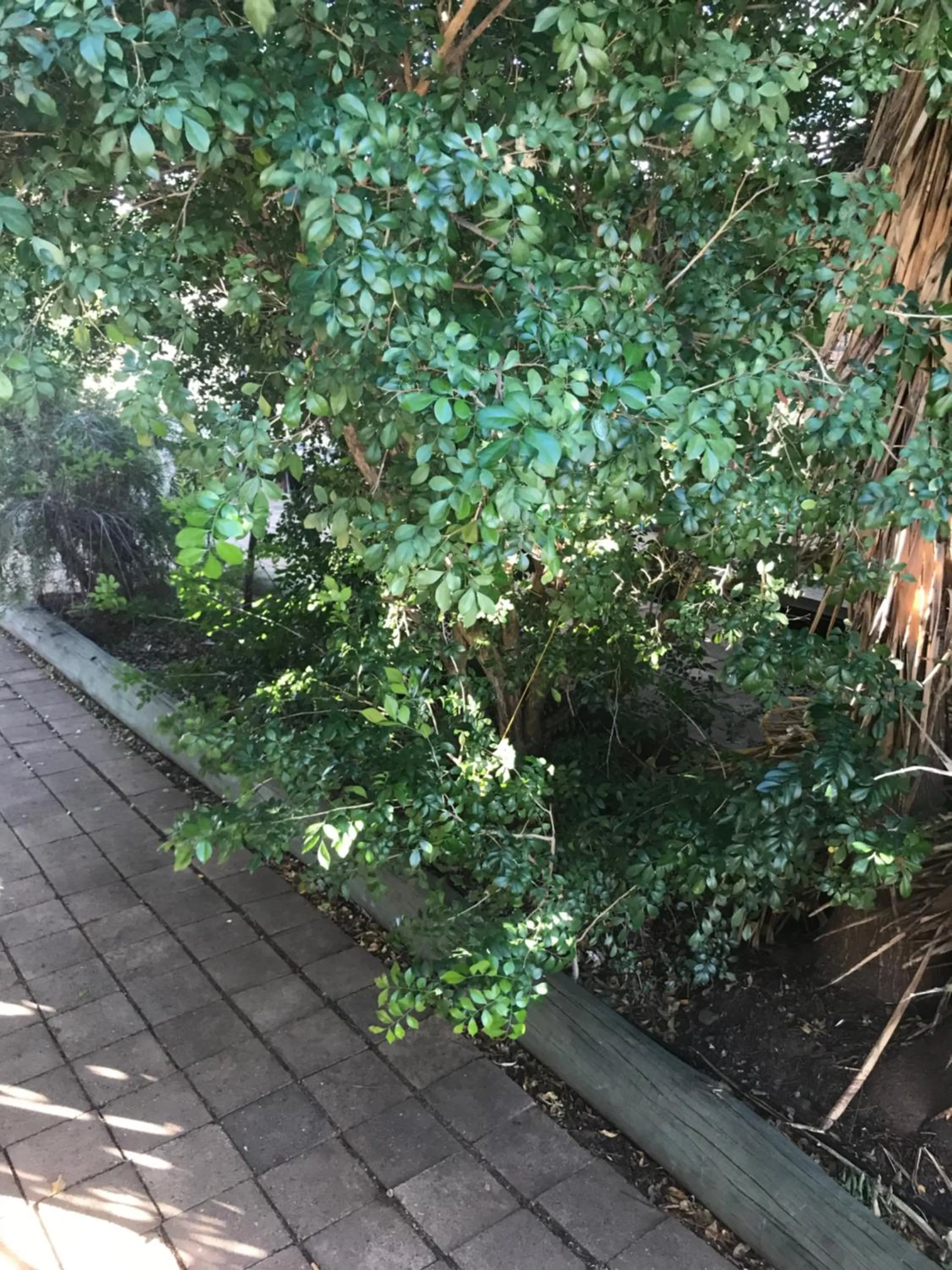 Outback Adventures Backpackers