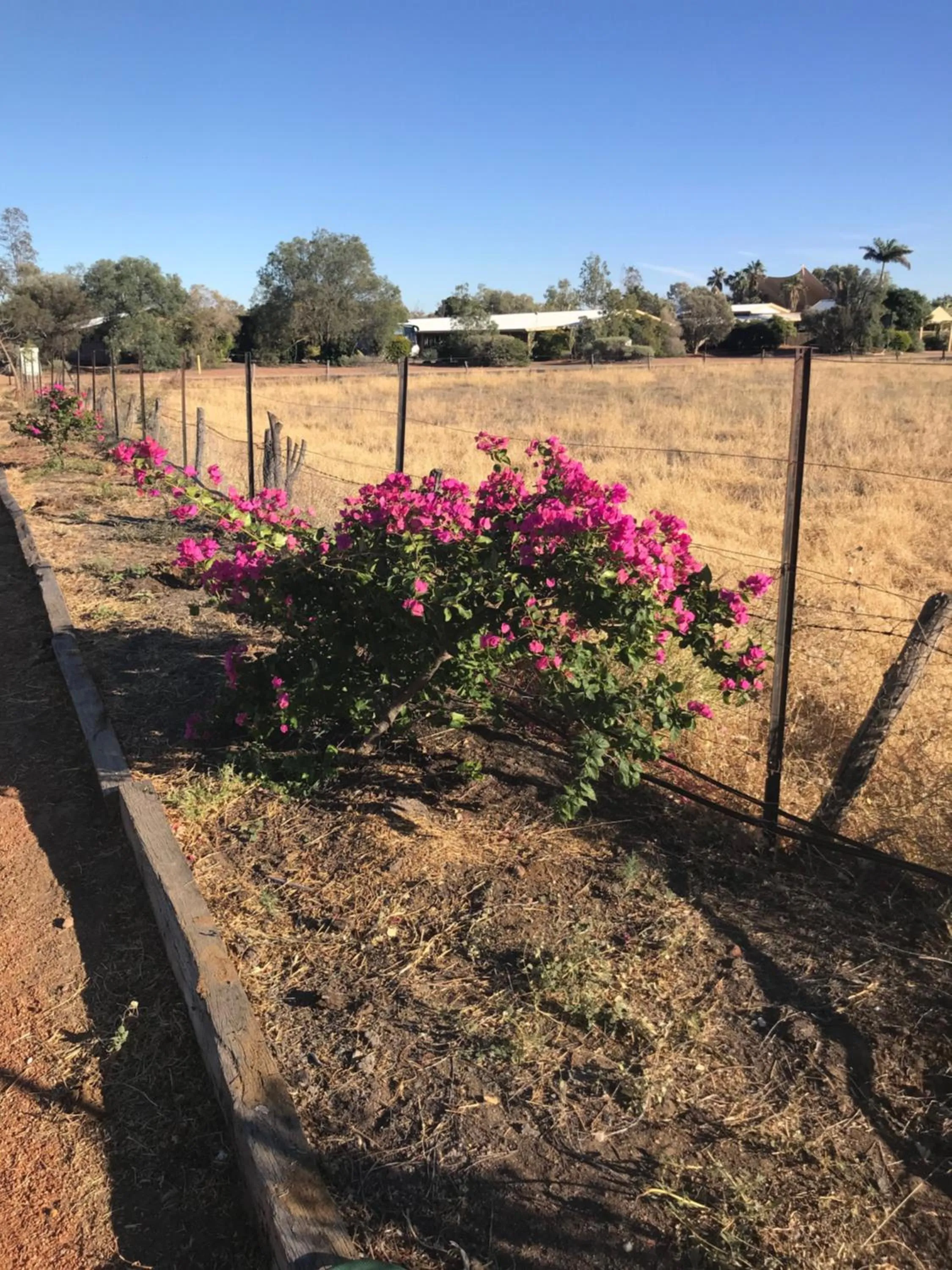 Outback Adventures Backpackers