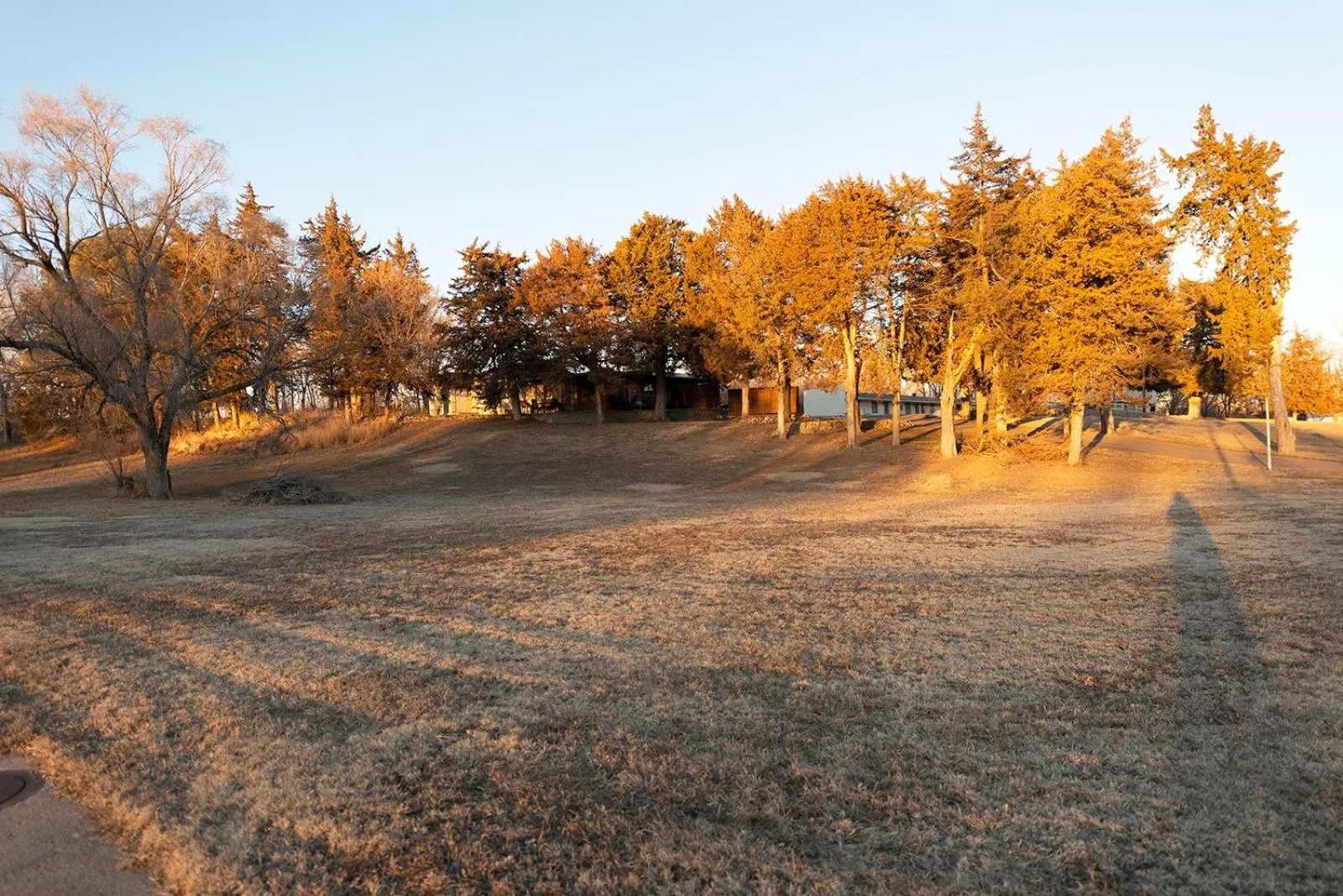 Natural landscape in Cedar Inn