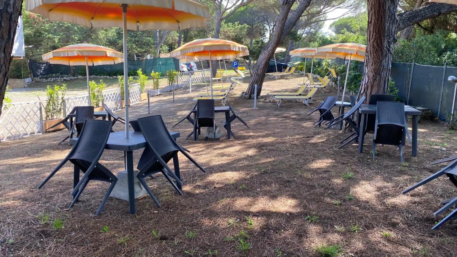 Garden in Hotel Paradiso Verde