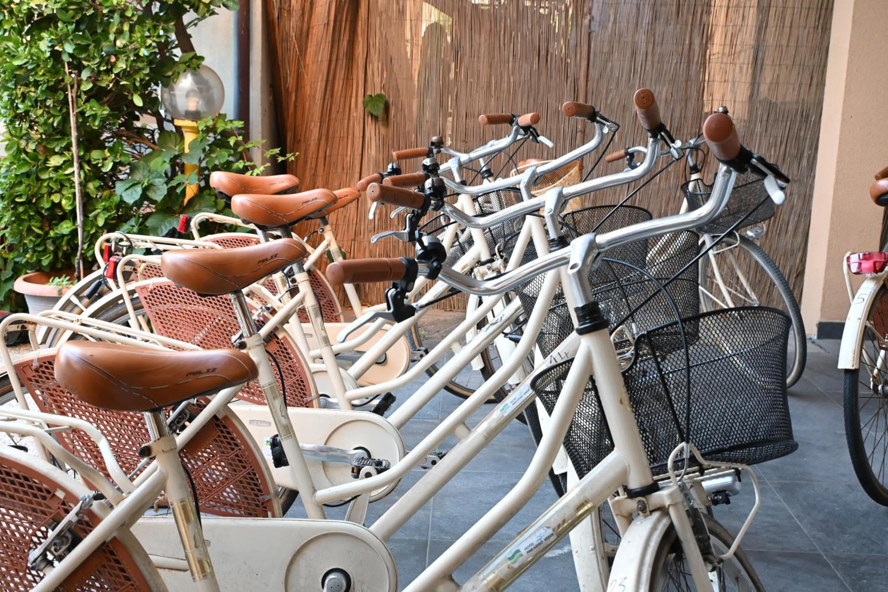 Hotel Paradiso Verde