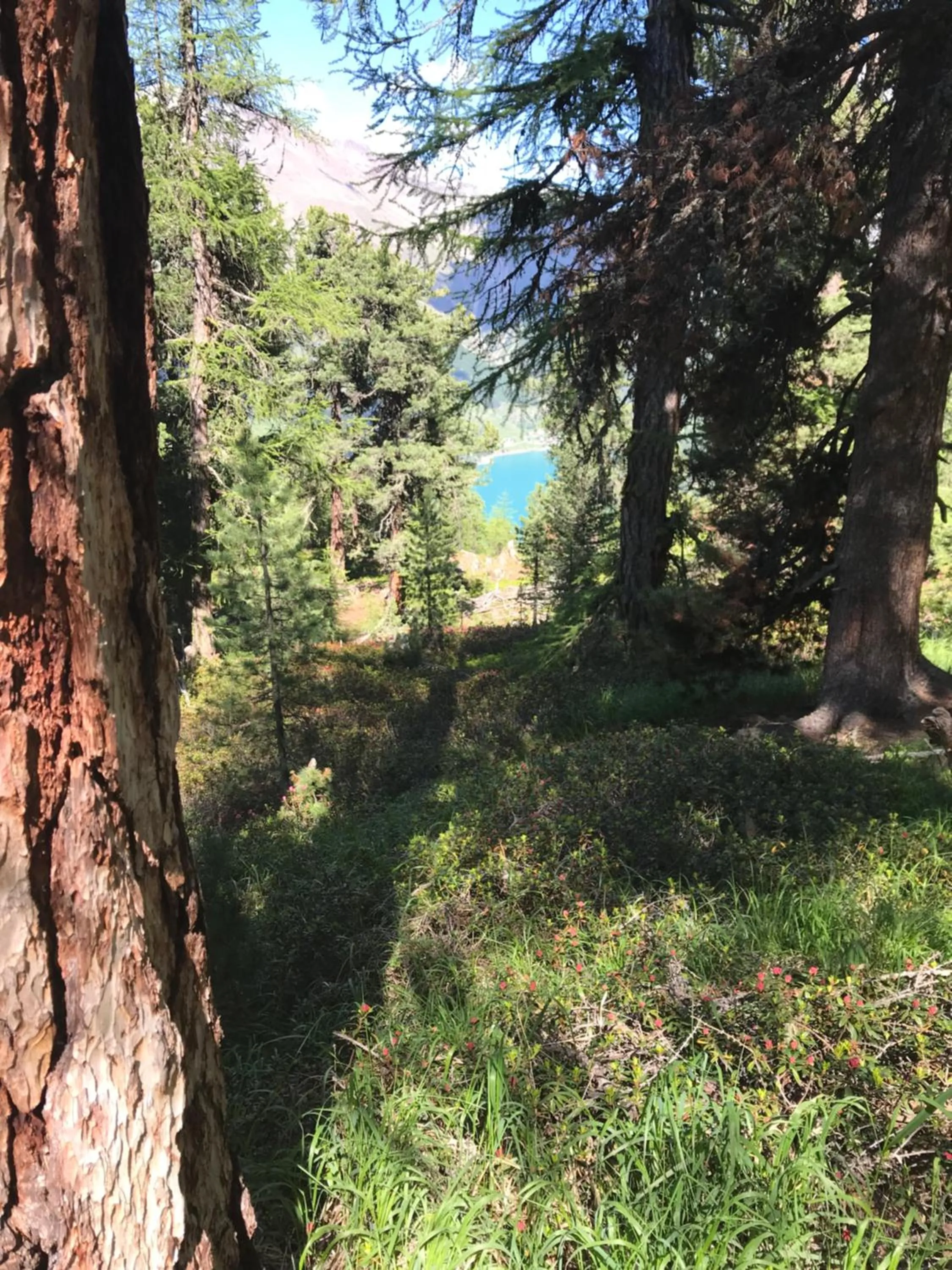 Staff in Piccolo Hotel Gurschler