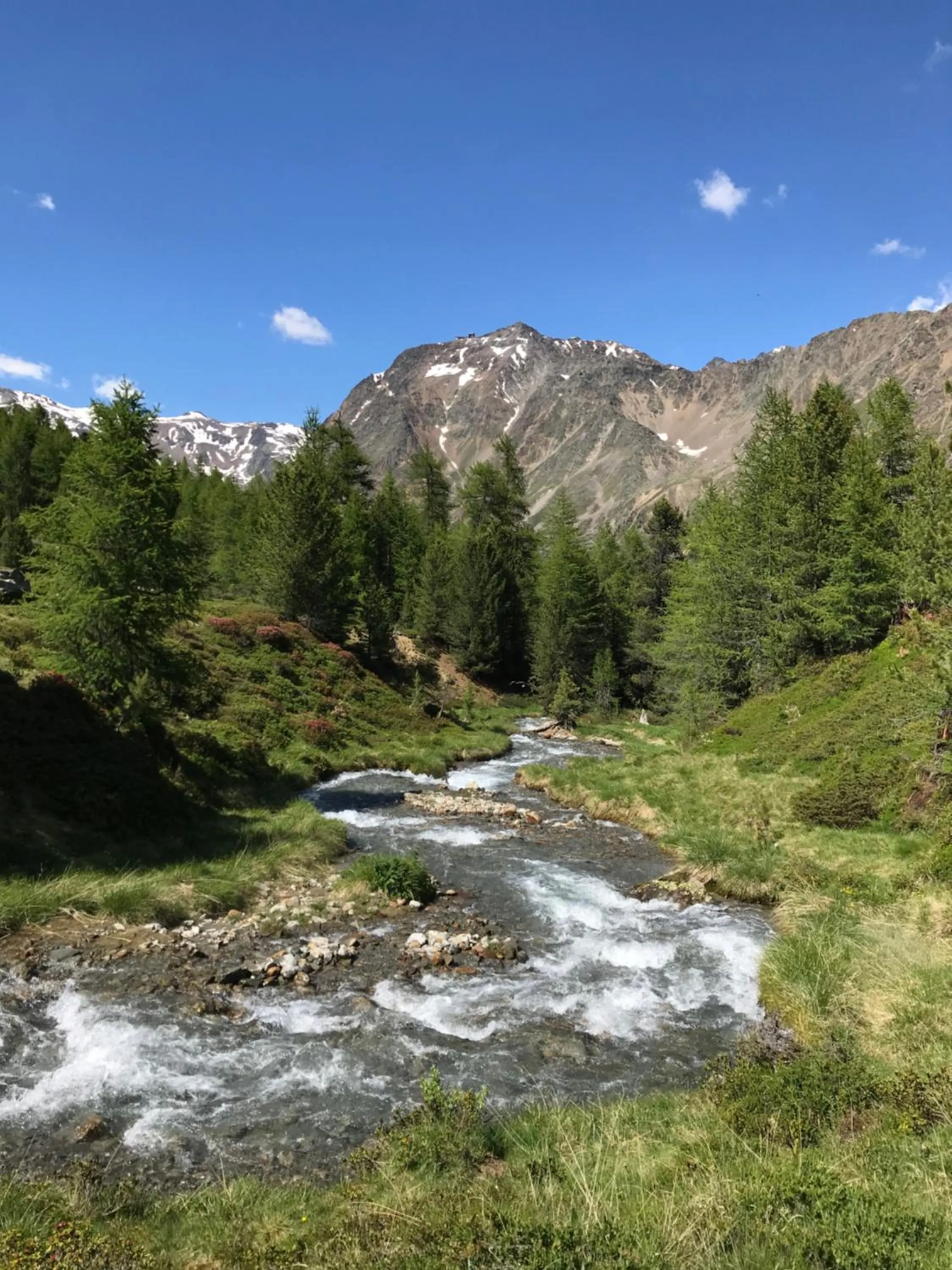 Staff in Piccolo Hotel Gurschler