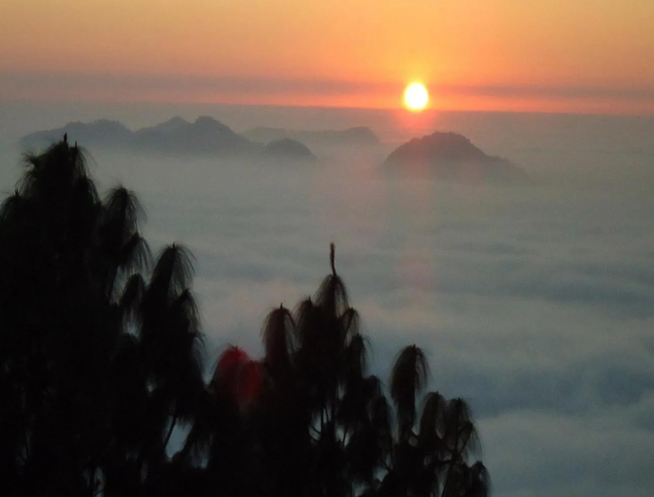 On site in ECKO Kasang Regency Hill Resort