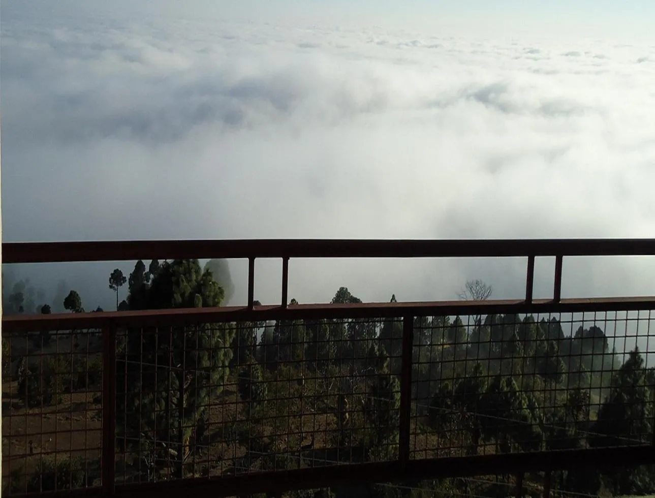 On site in ECKO Kasang Regency Hill Resort