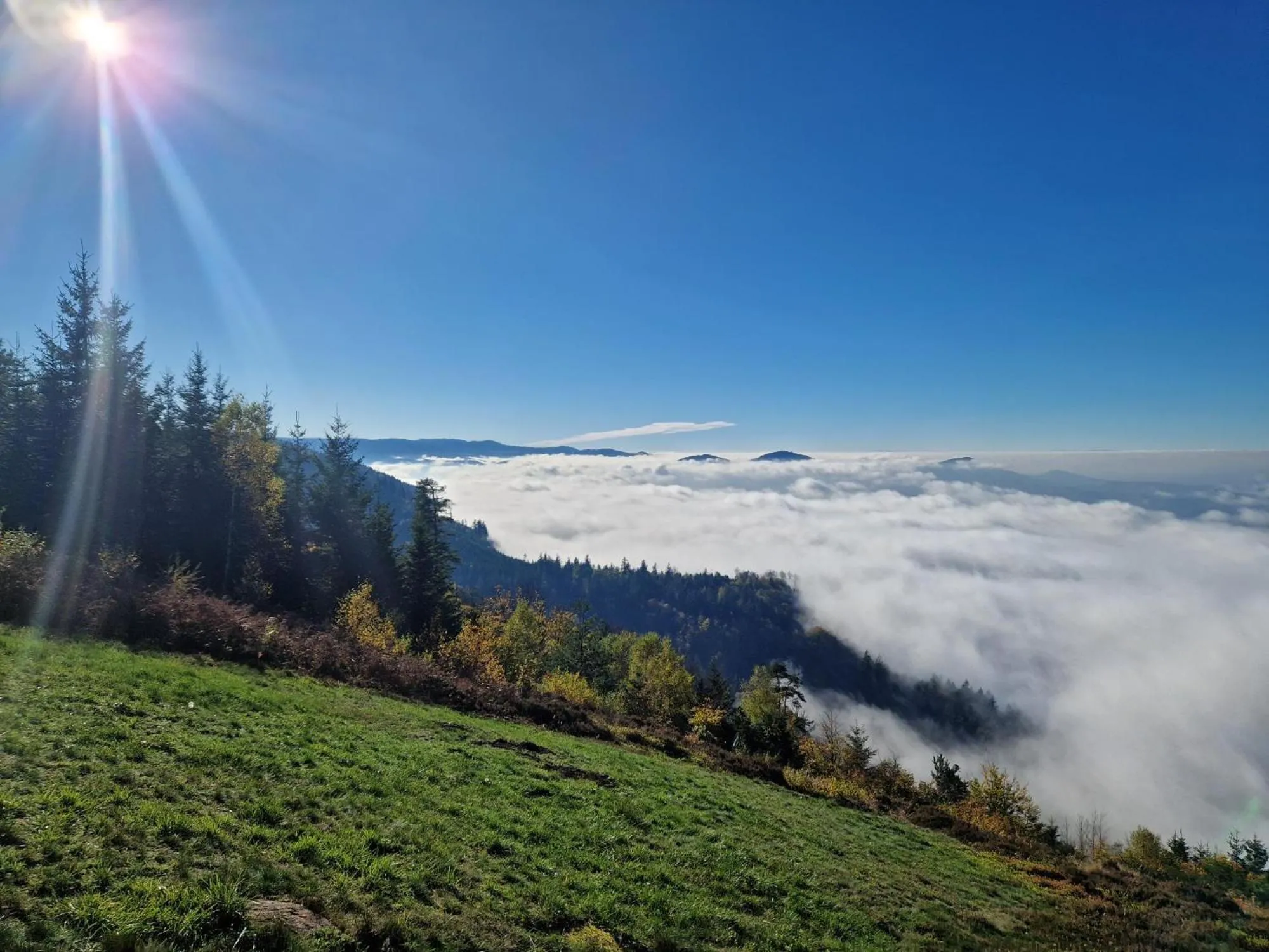 Day in Hotel Platzhirsch