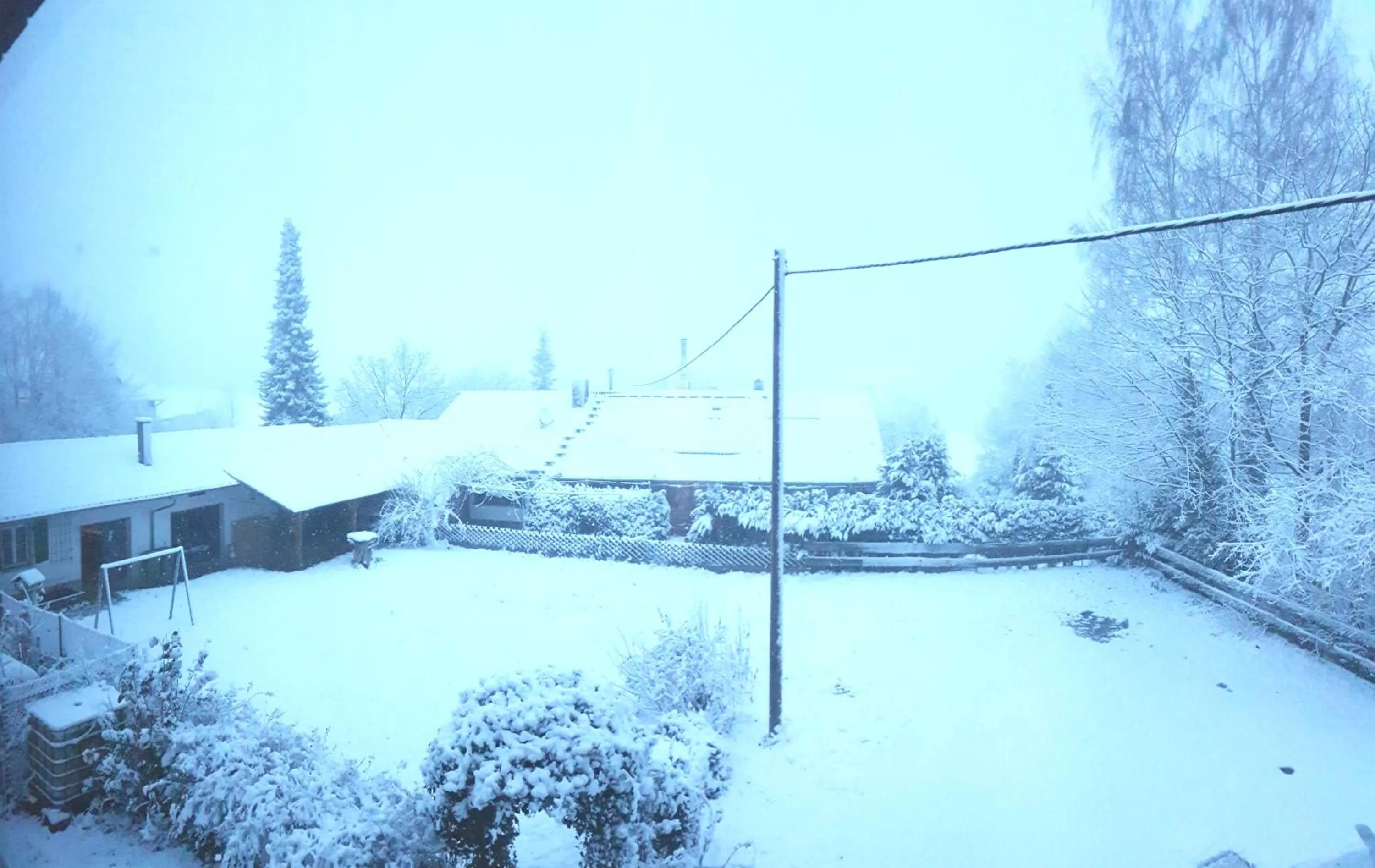 Garden view in Hotel Platzhirsch