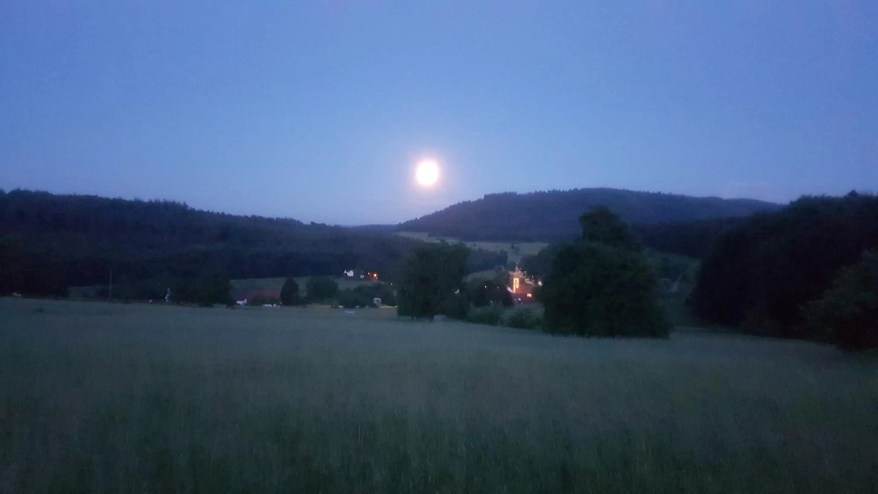 Natural landscape in Hotel Platzhirsch