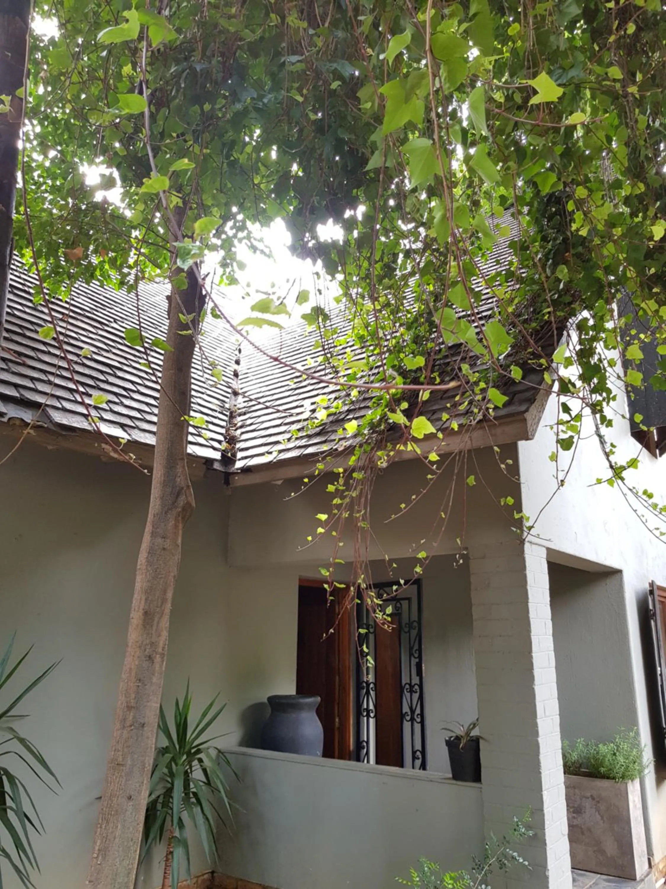 Property building in 440@Brooklyn