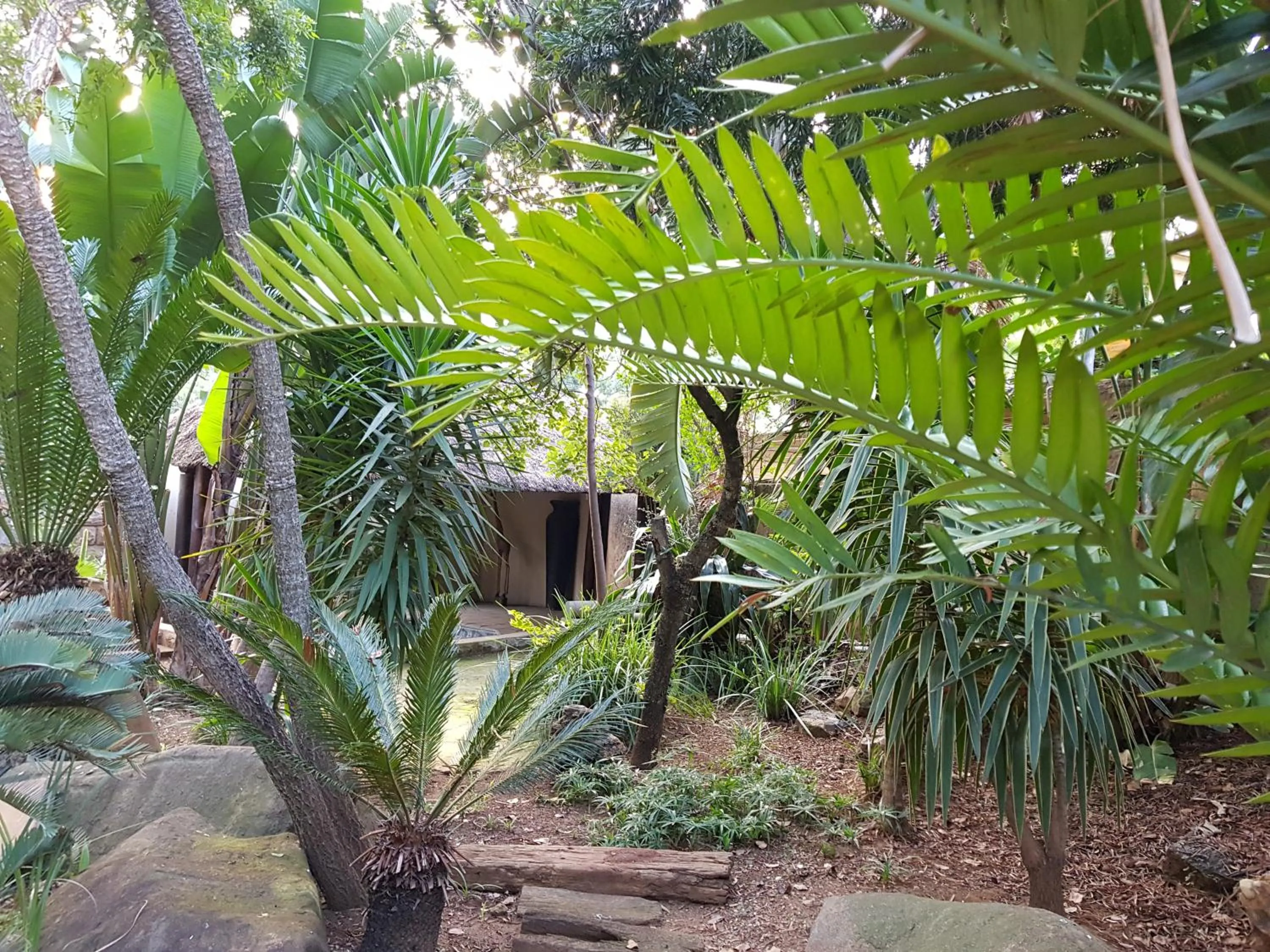 Garden in 440@Brooklyn