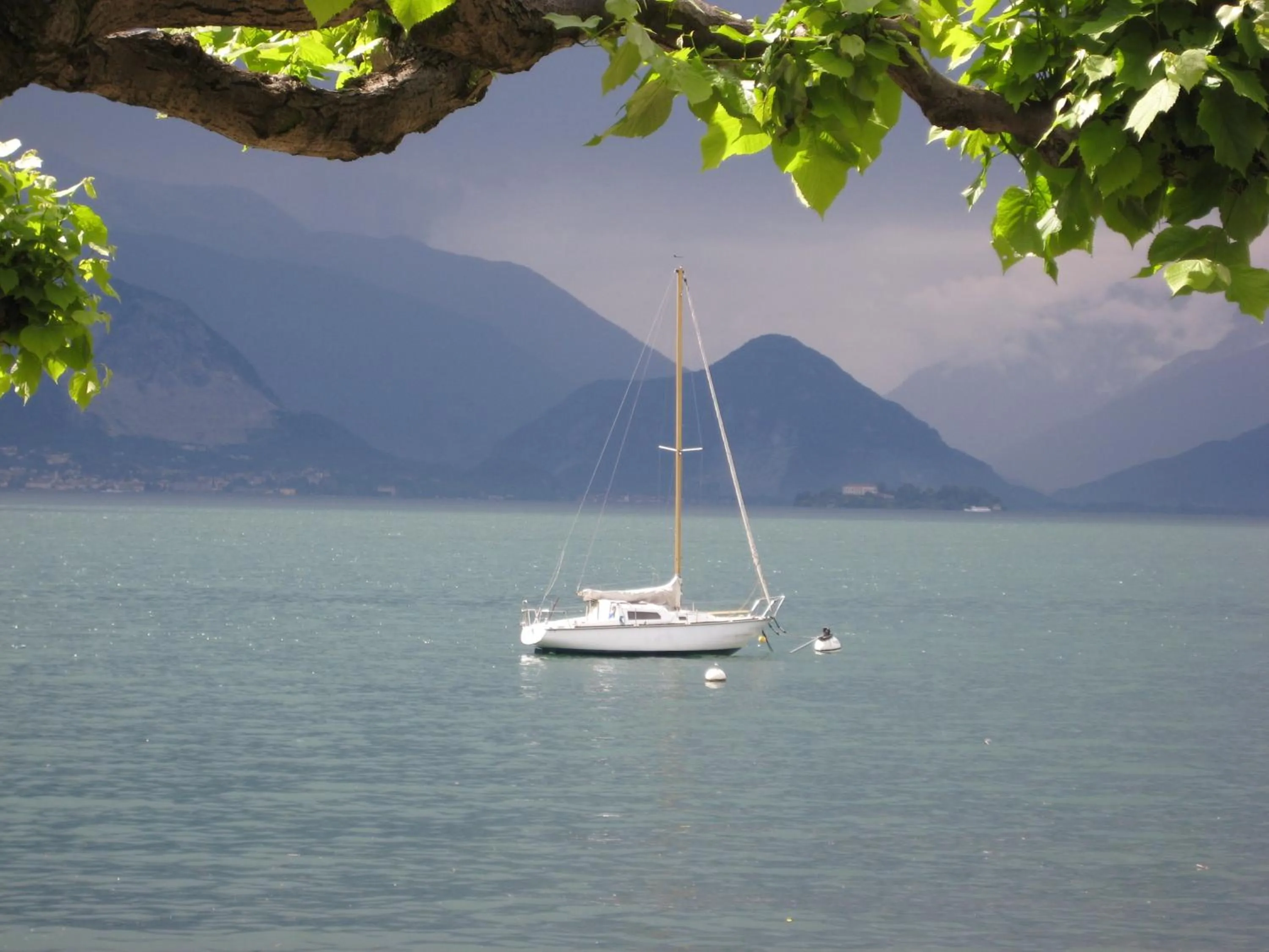 Natural landscape in Albergo Riva