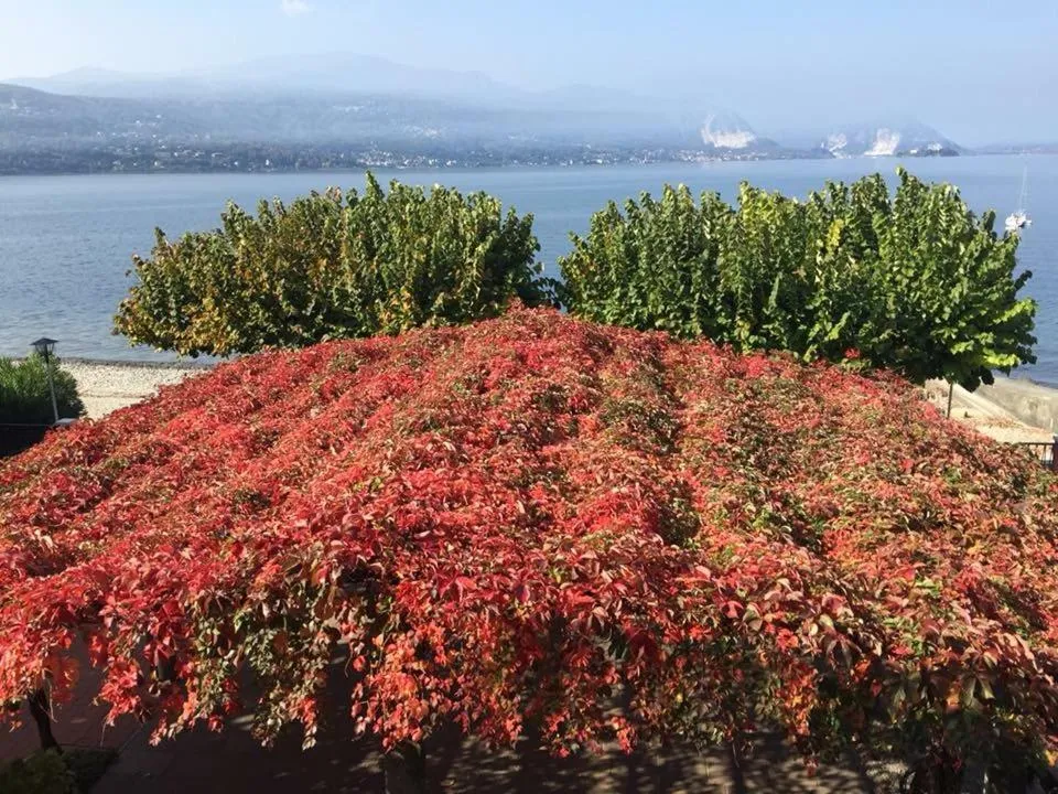 Lake view in Albergo Riva