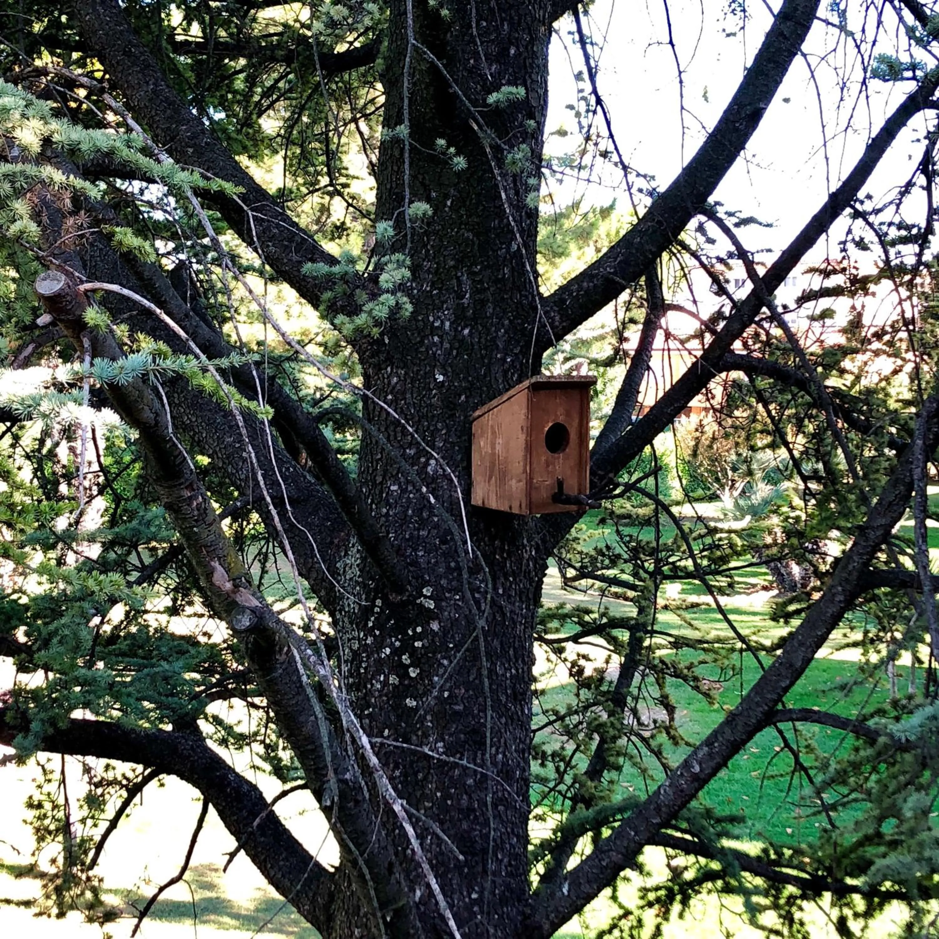 Spring in Residence Oasi