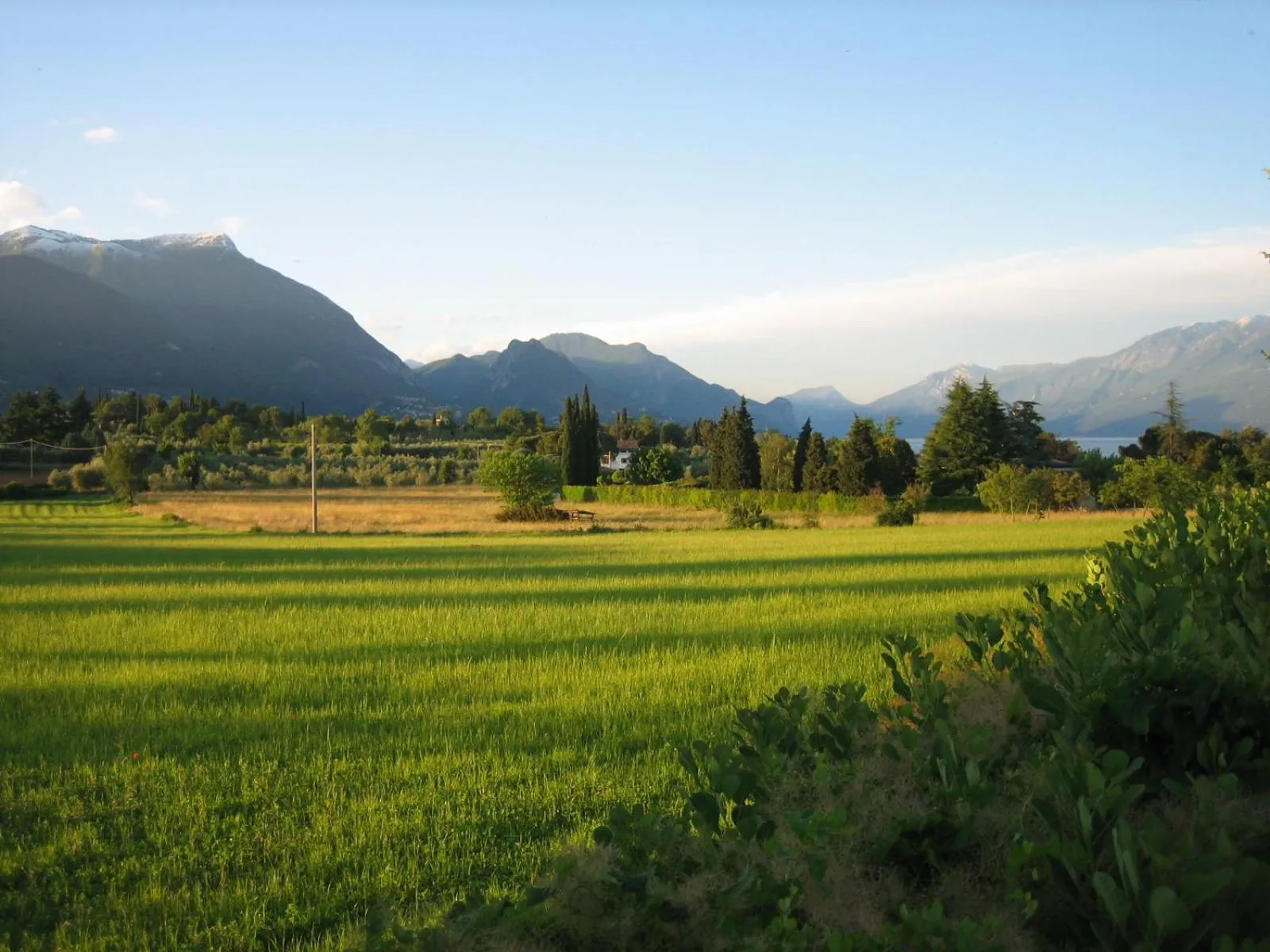 Other in Residence Oasi