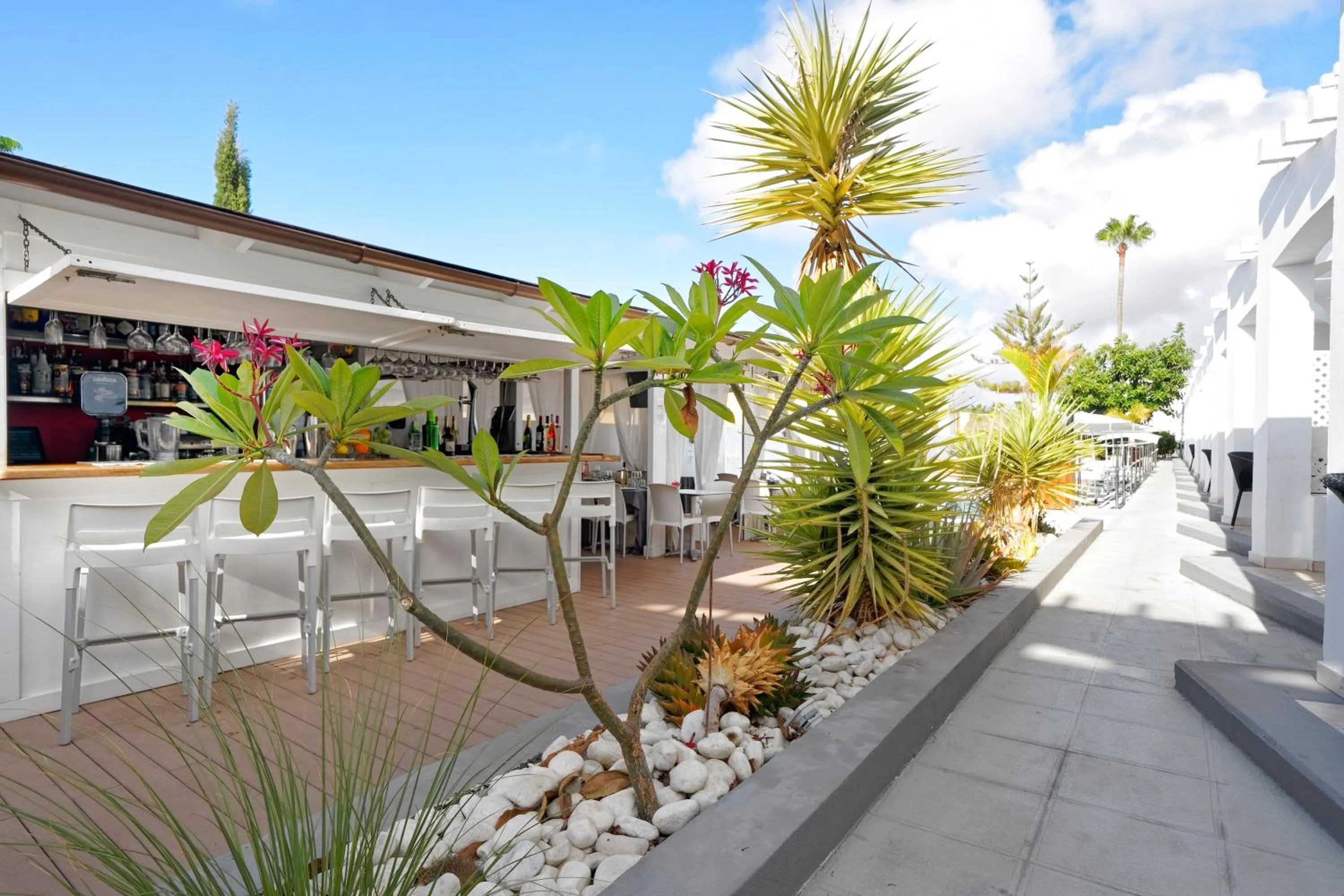 Lounge or bar in Vista Bonita - Gay and Lesbian Only Resort