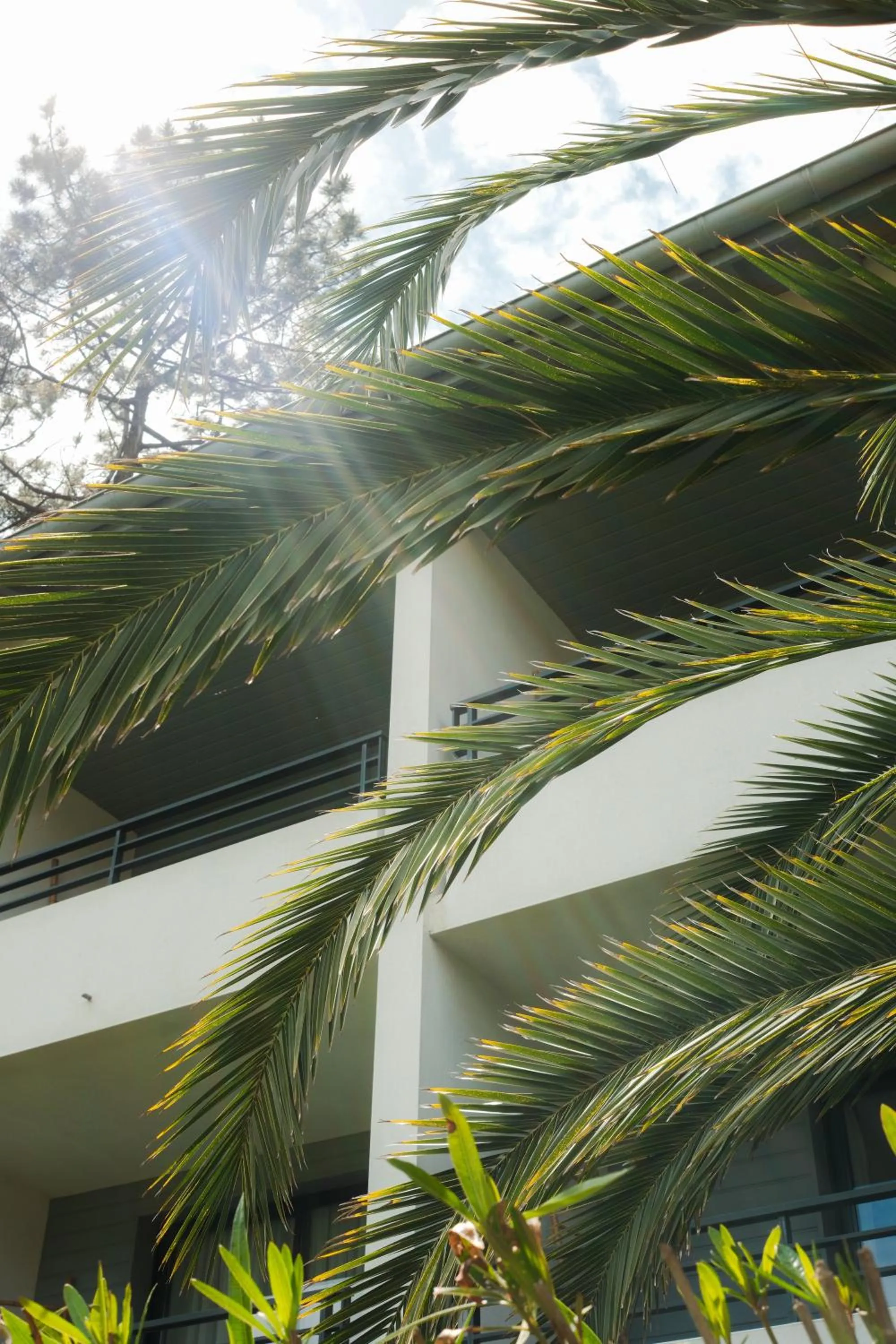 Property building in Hôtel Les Fougères - Hossegor