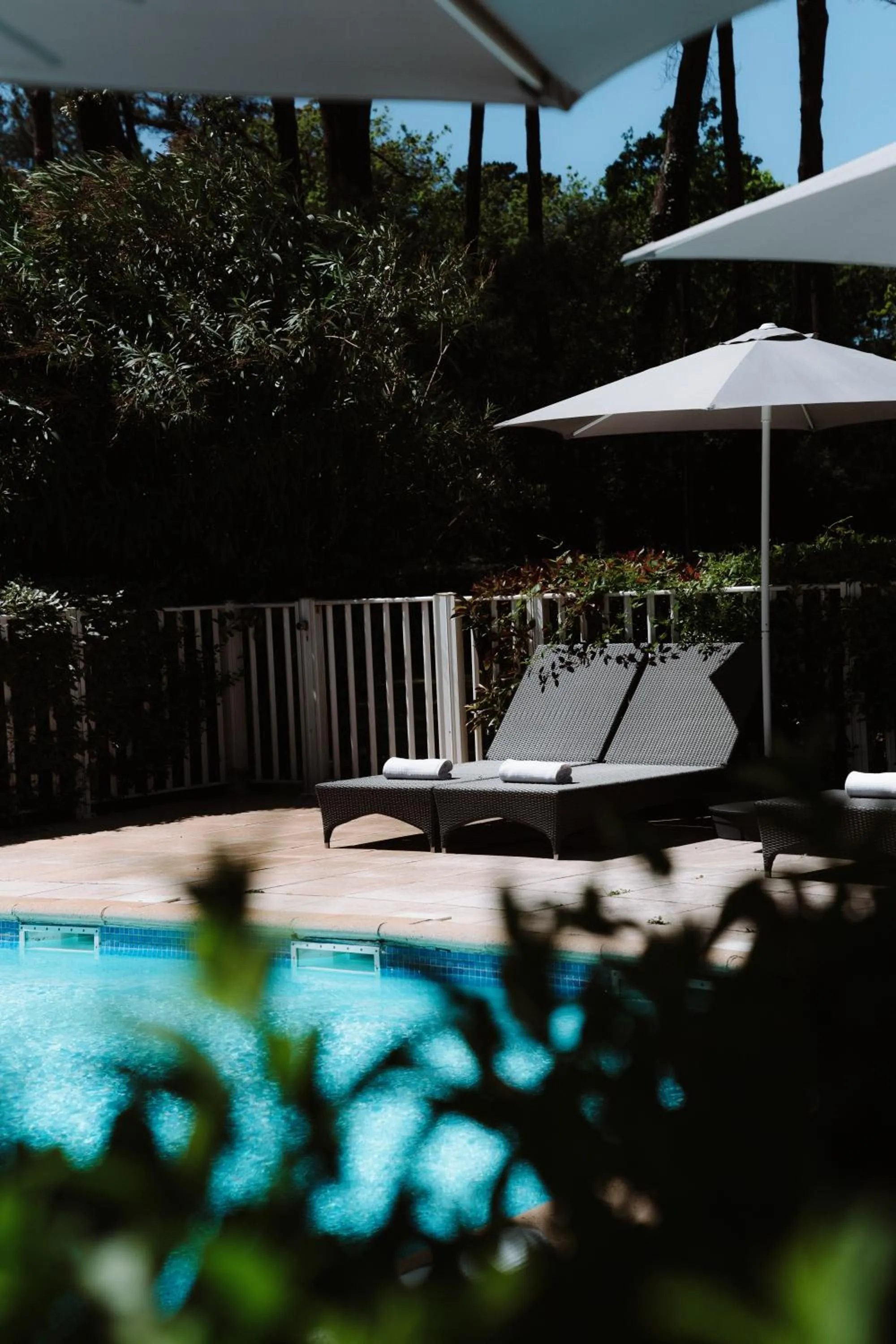 Swimming pool in Hôtel Les Fougères - Hossegor