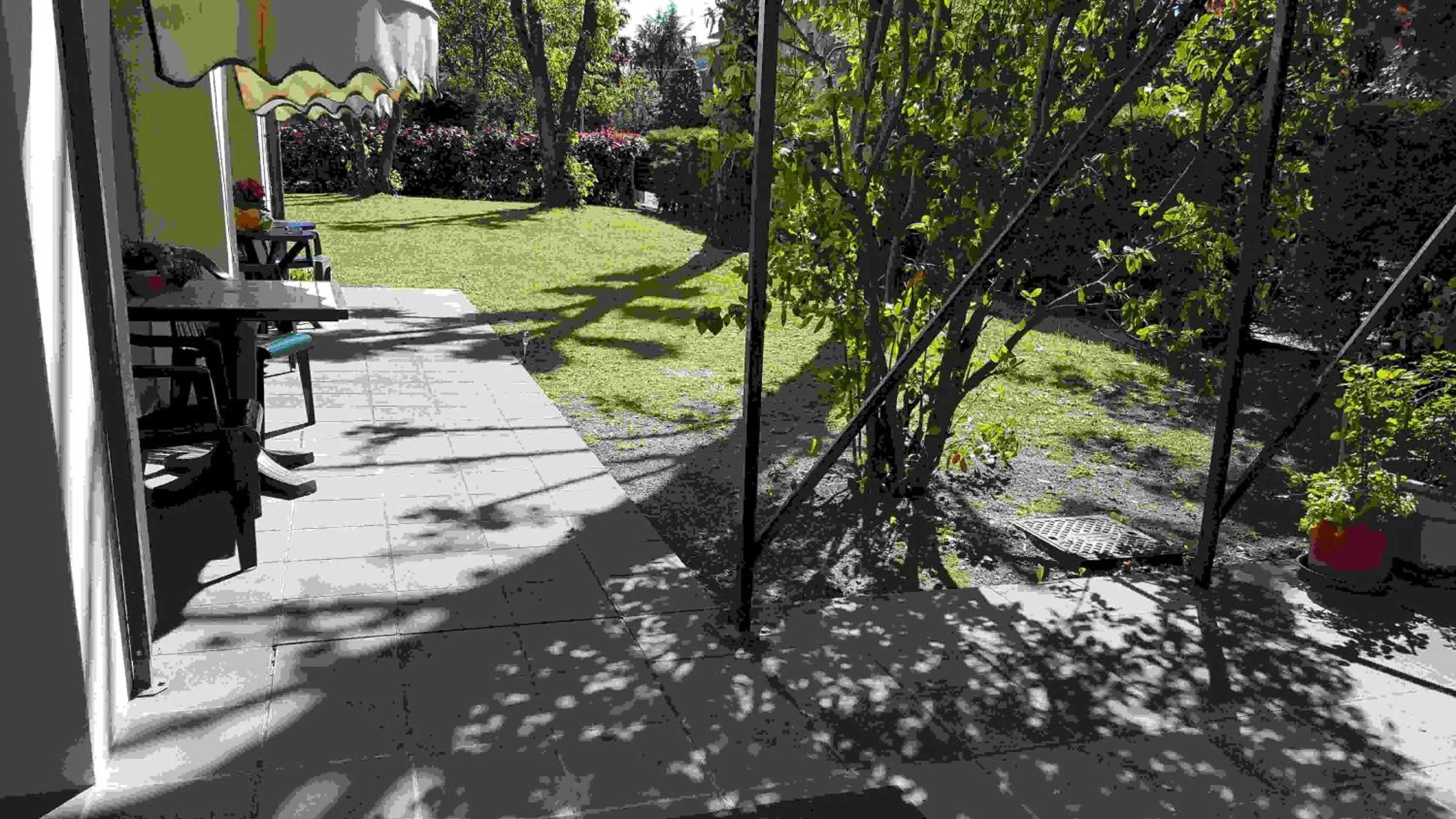 Garden in Ducathotel