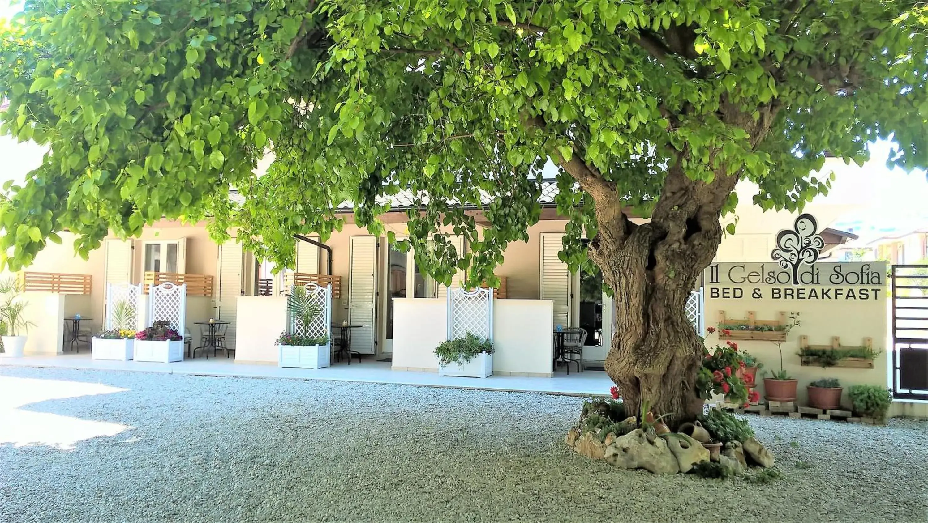 Il Gelso di Sofia B&B Il Gelso di Sofia B&B