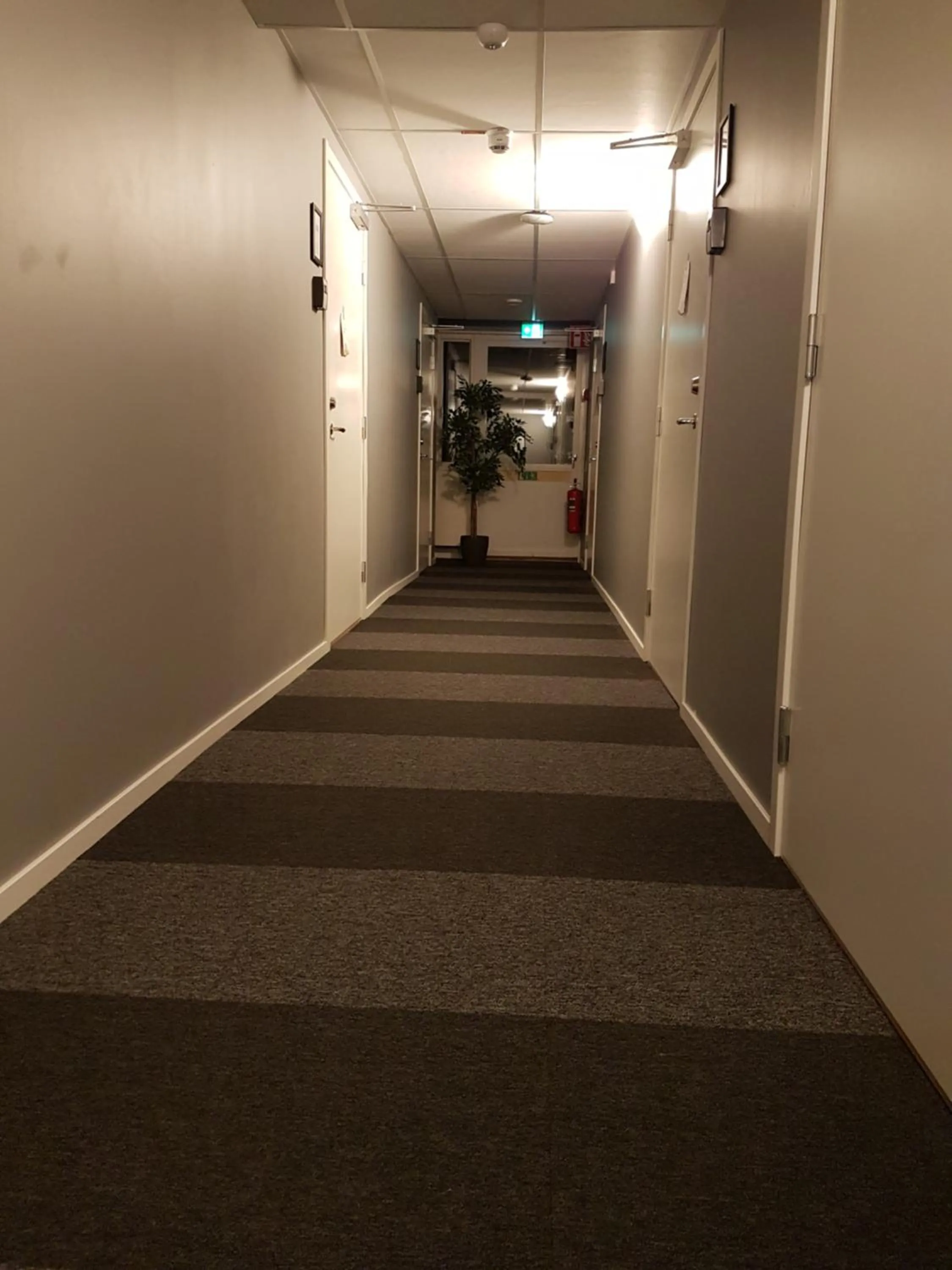 Property building in Vandrarhem Uppsala - Portalgatan