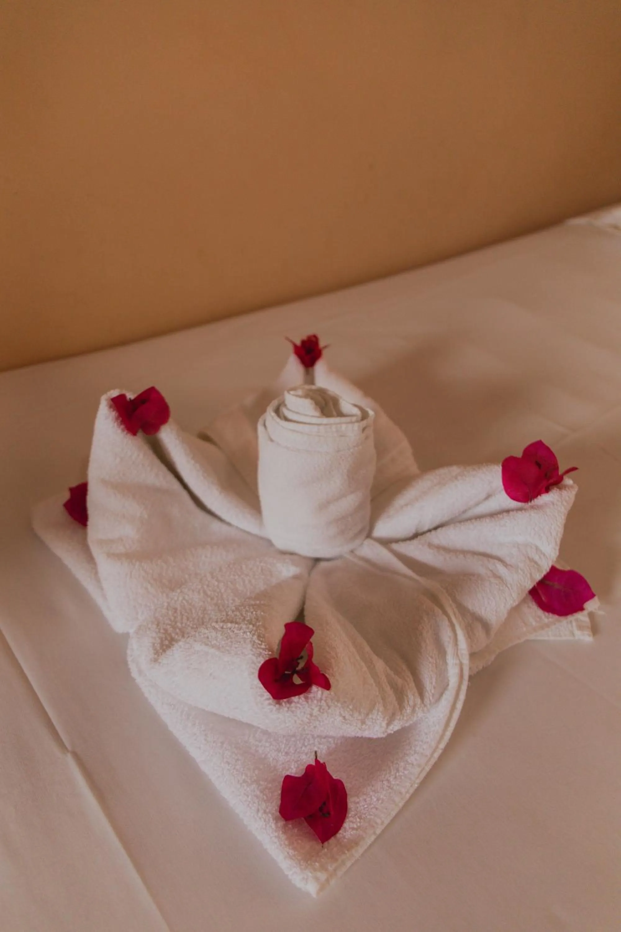 Bed in Pousada D' Areia