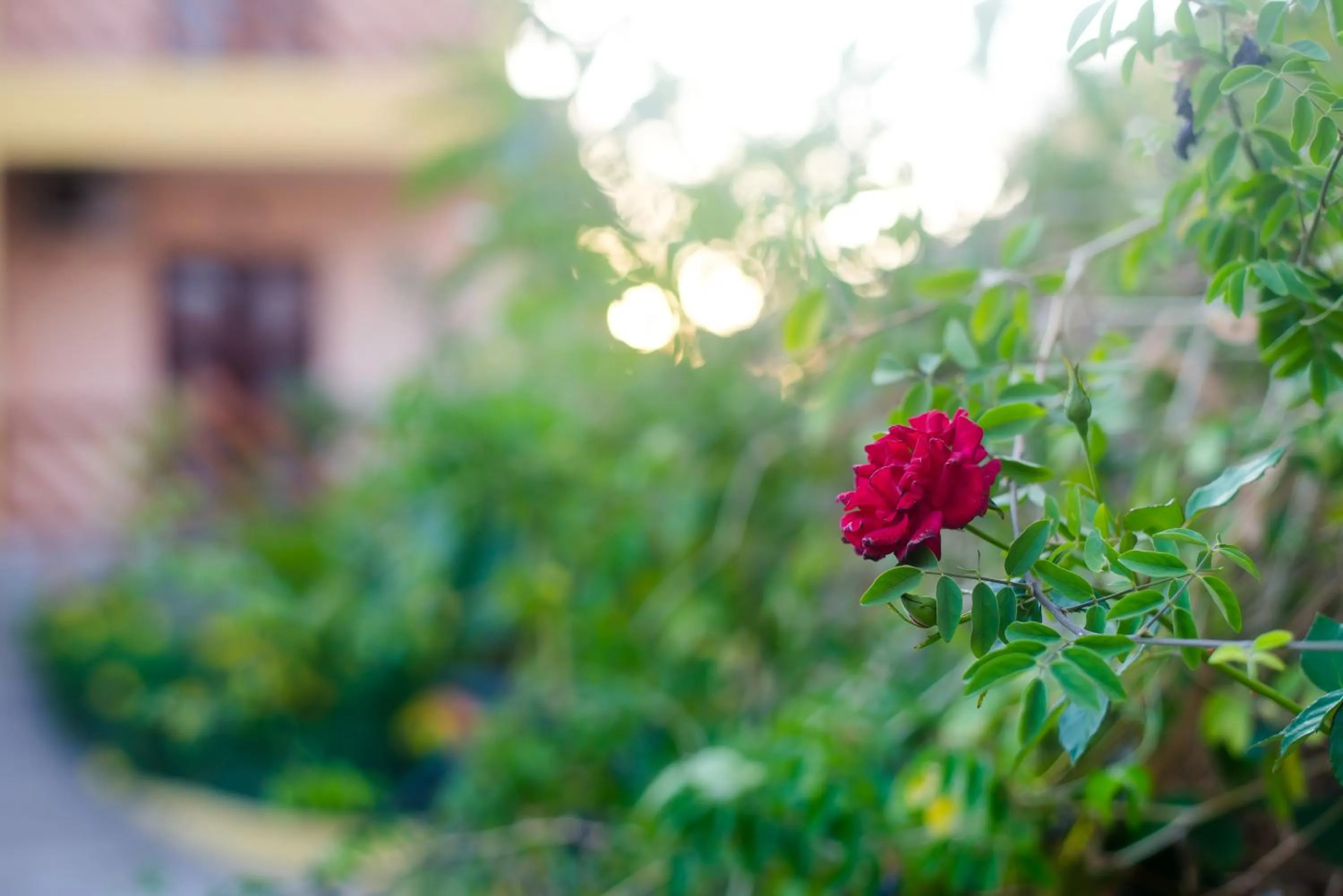 Spring in Pousada D' Areia