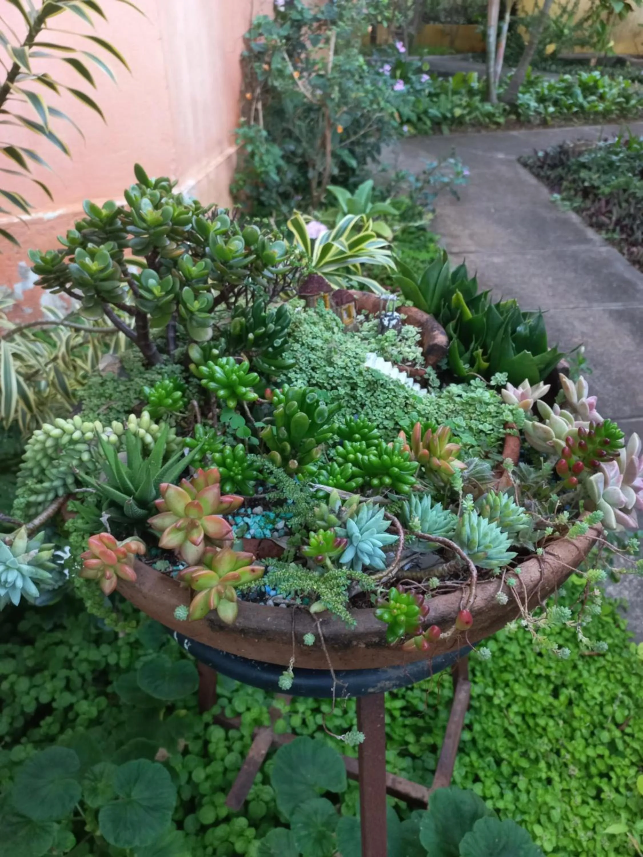 Garden in Pousada Veadeiros - Alto Paraiso de Goiás
