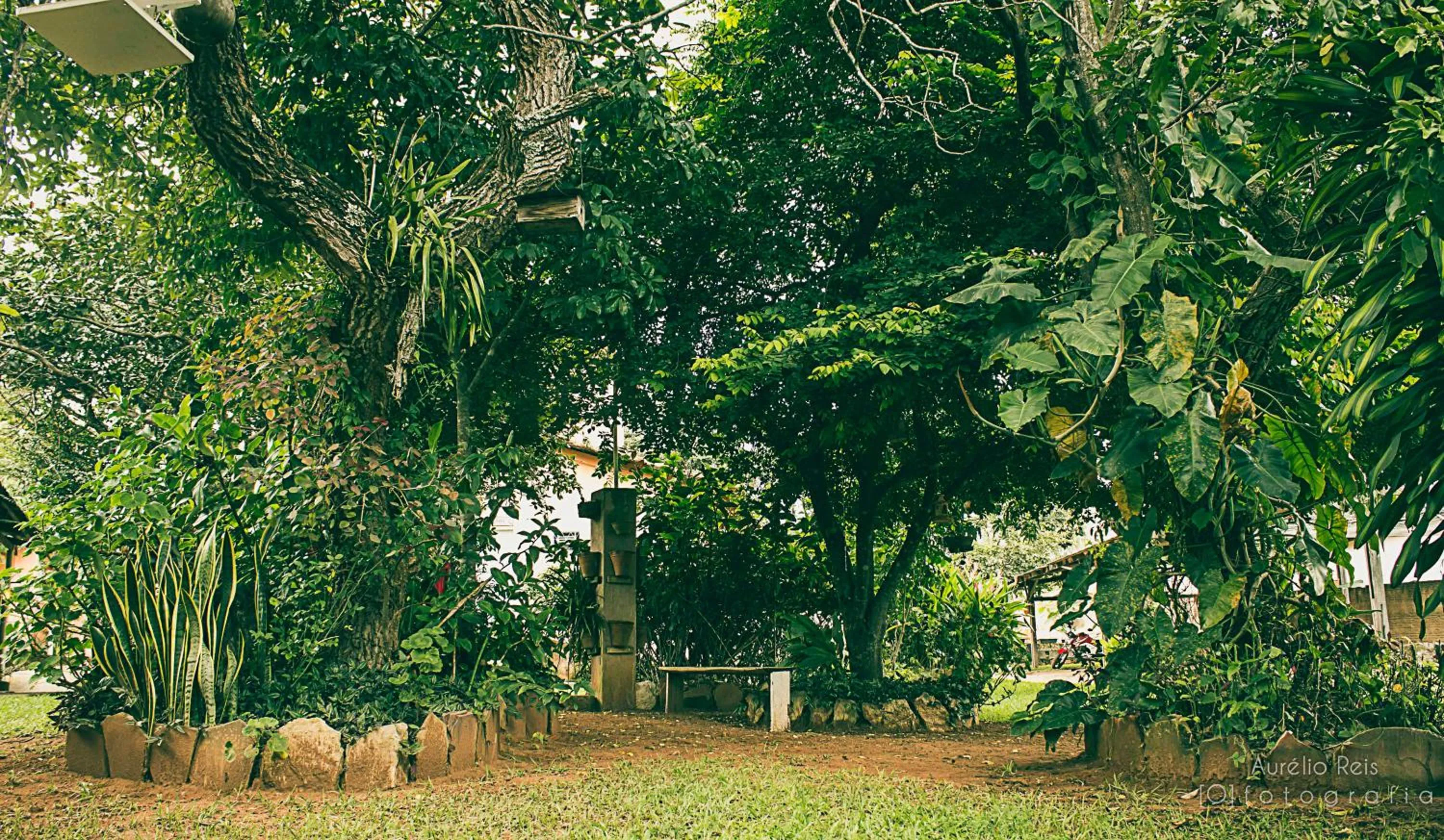 Garden in Pousada Veadeiros - Alto Paraiso de Goiás