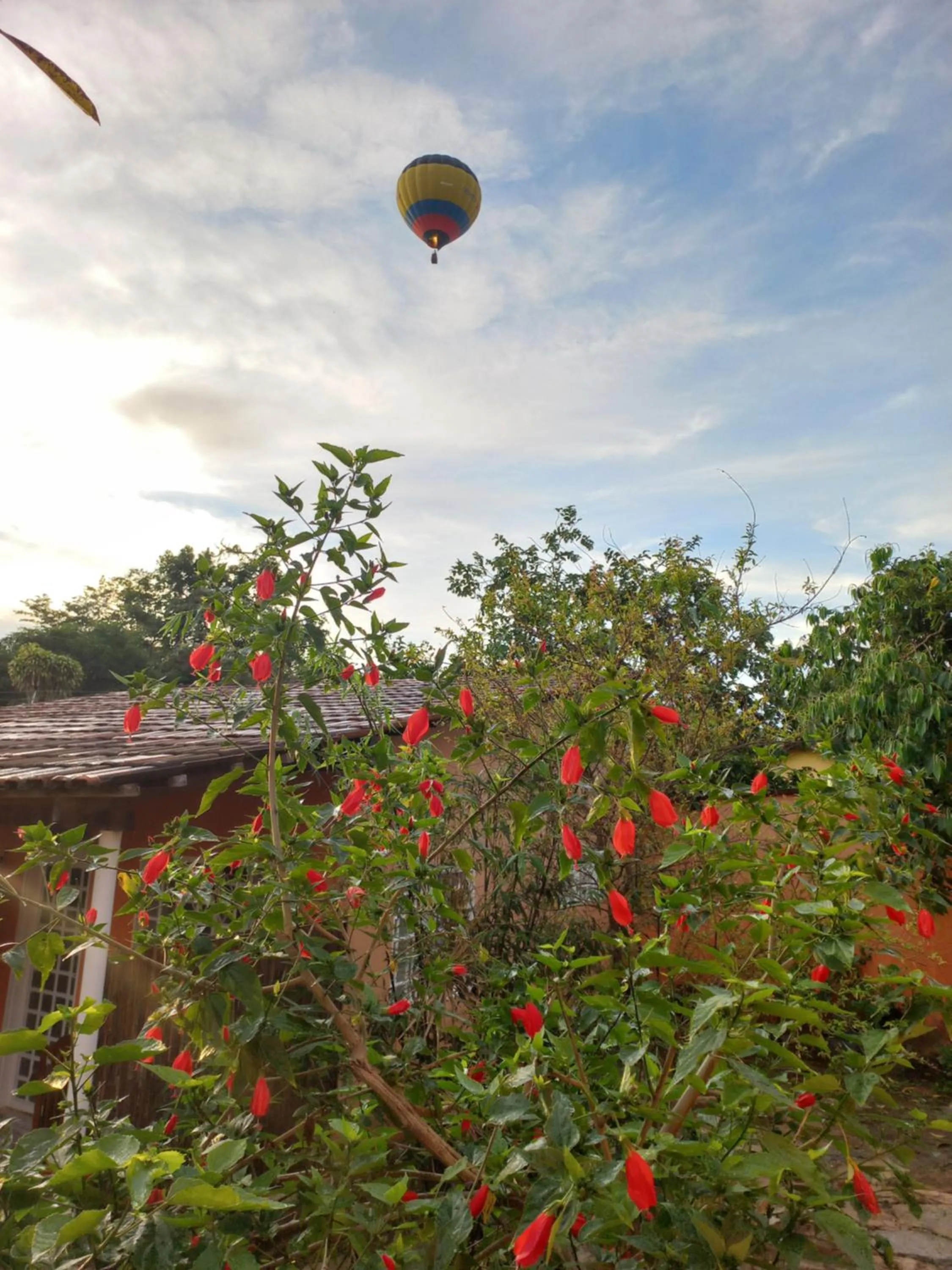 Natural landscape in Pousada Veadeiros - Alto Paraiso de Goiás