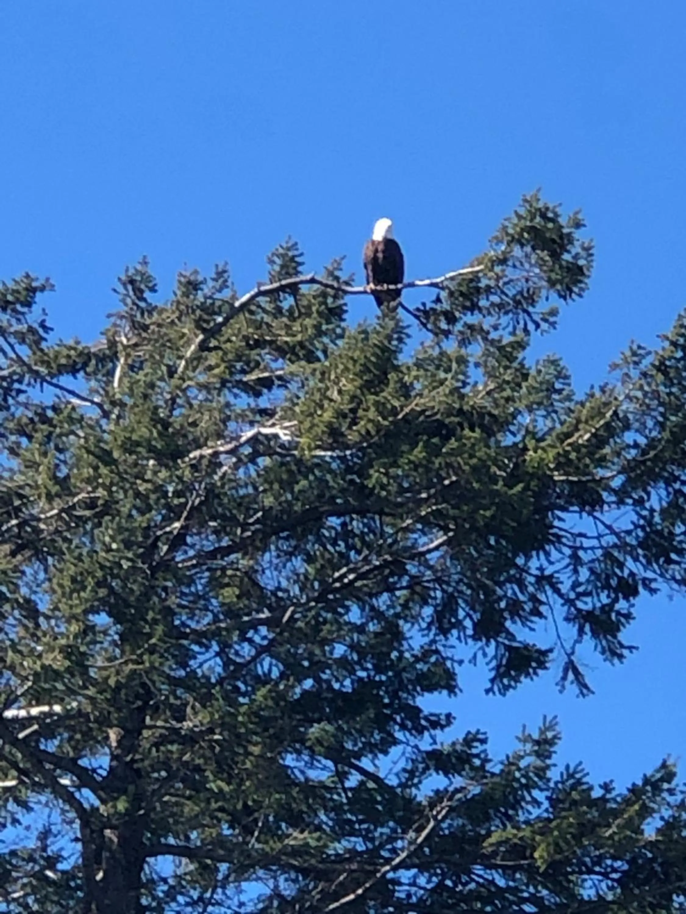 Day in Anchor Inn and Suites