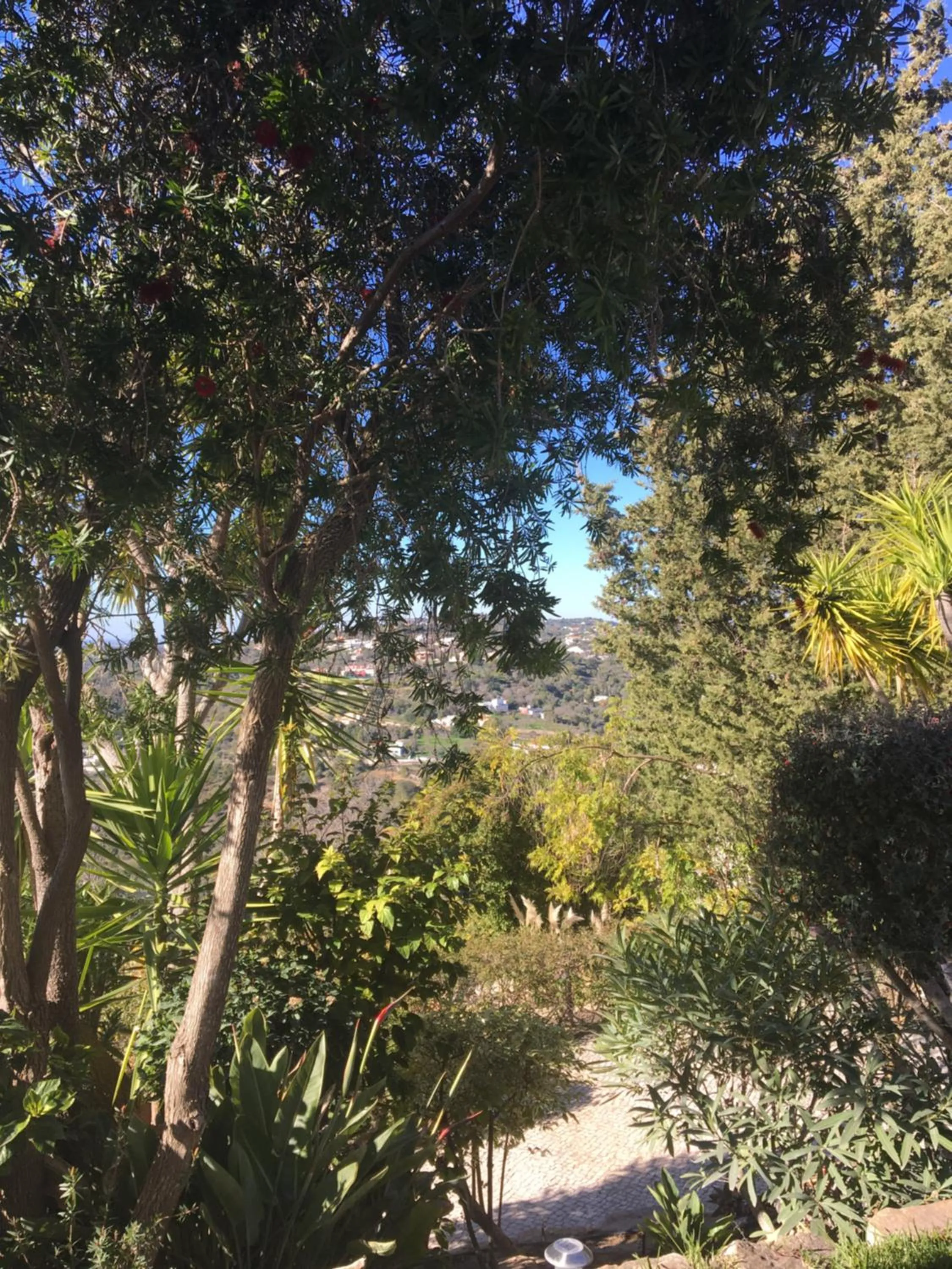 Garden in Felicidade