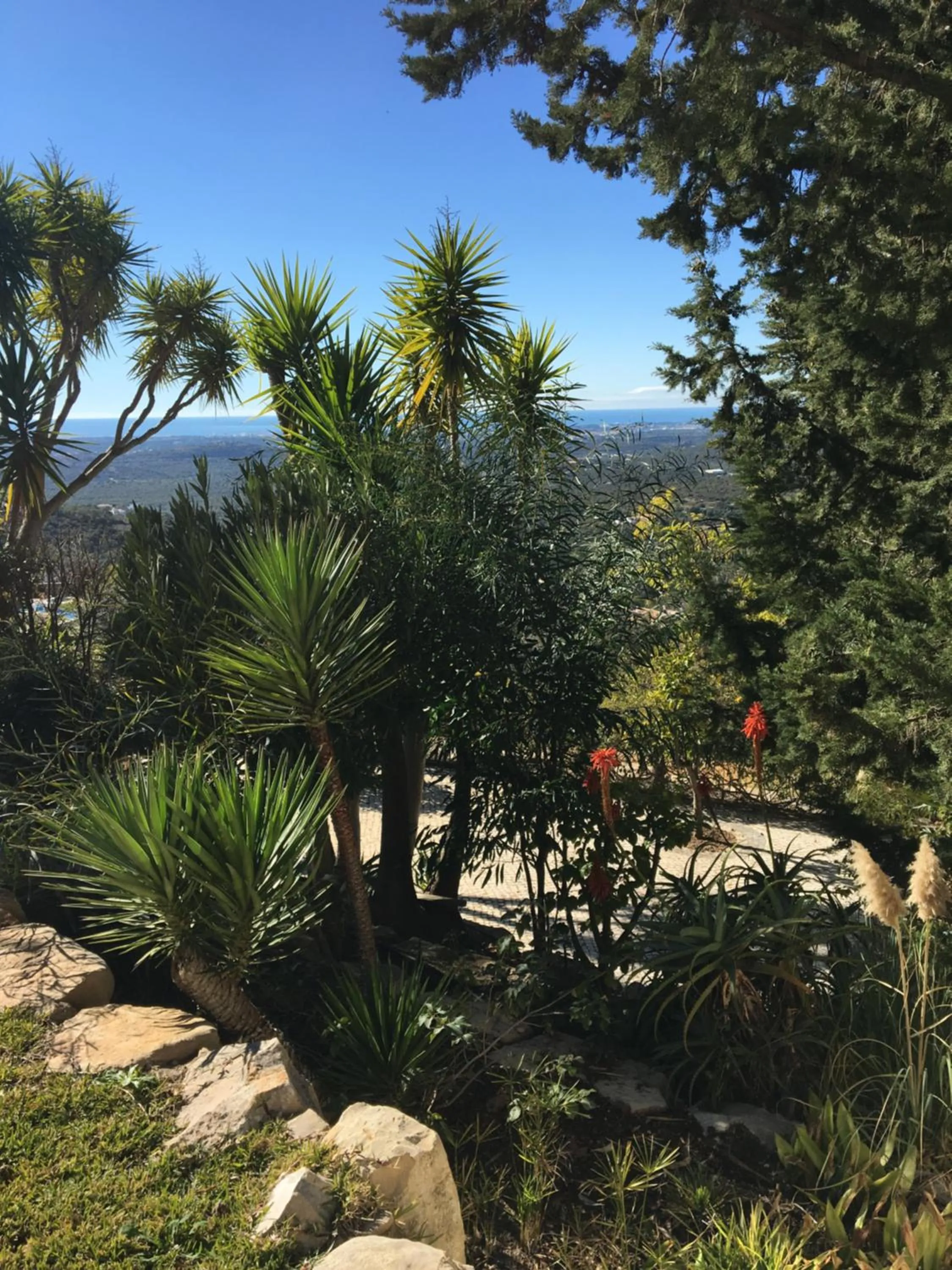 Garden in Felicidade