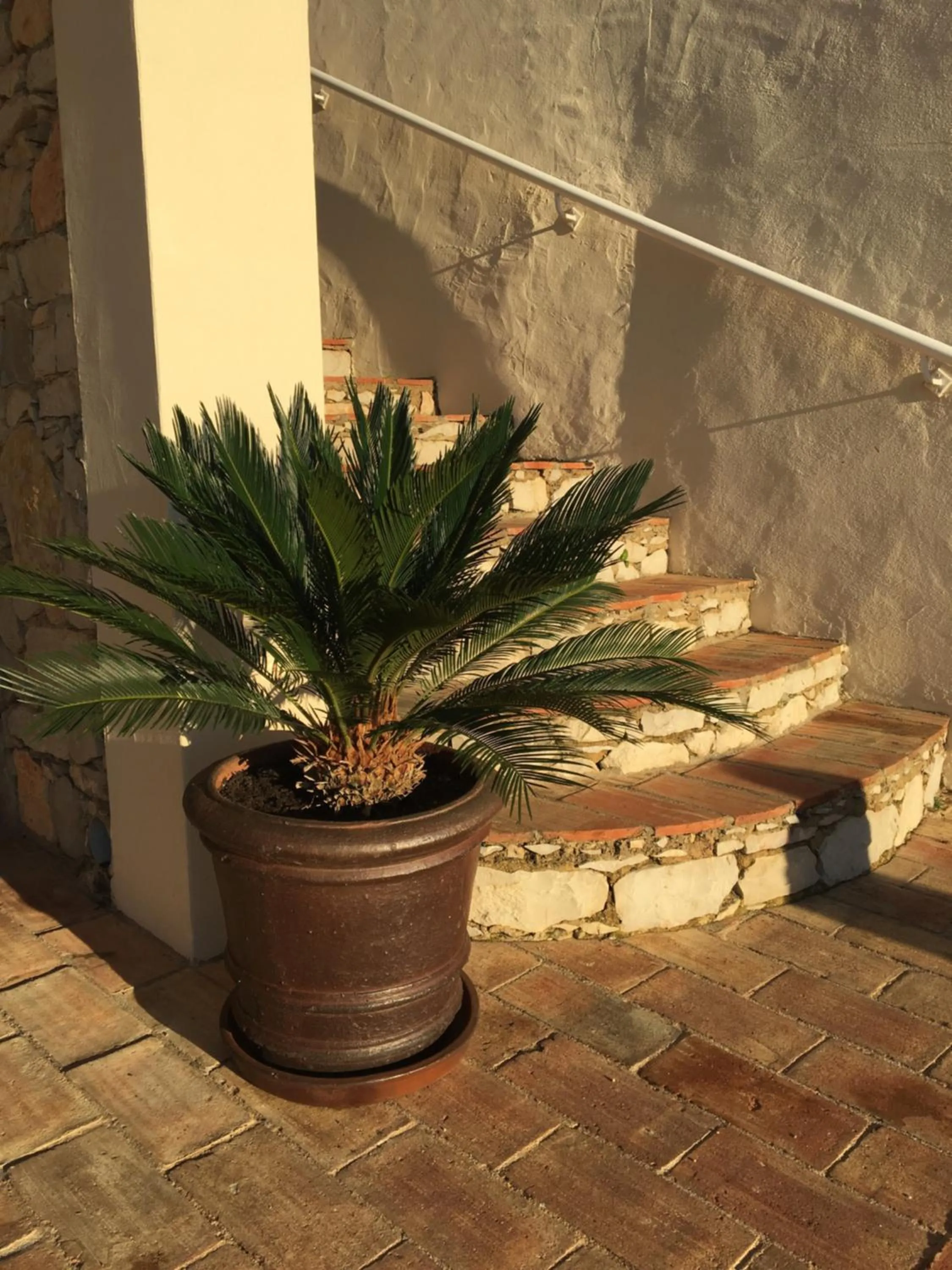 Property building in Felicidade