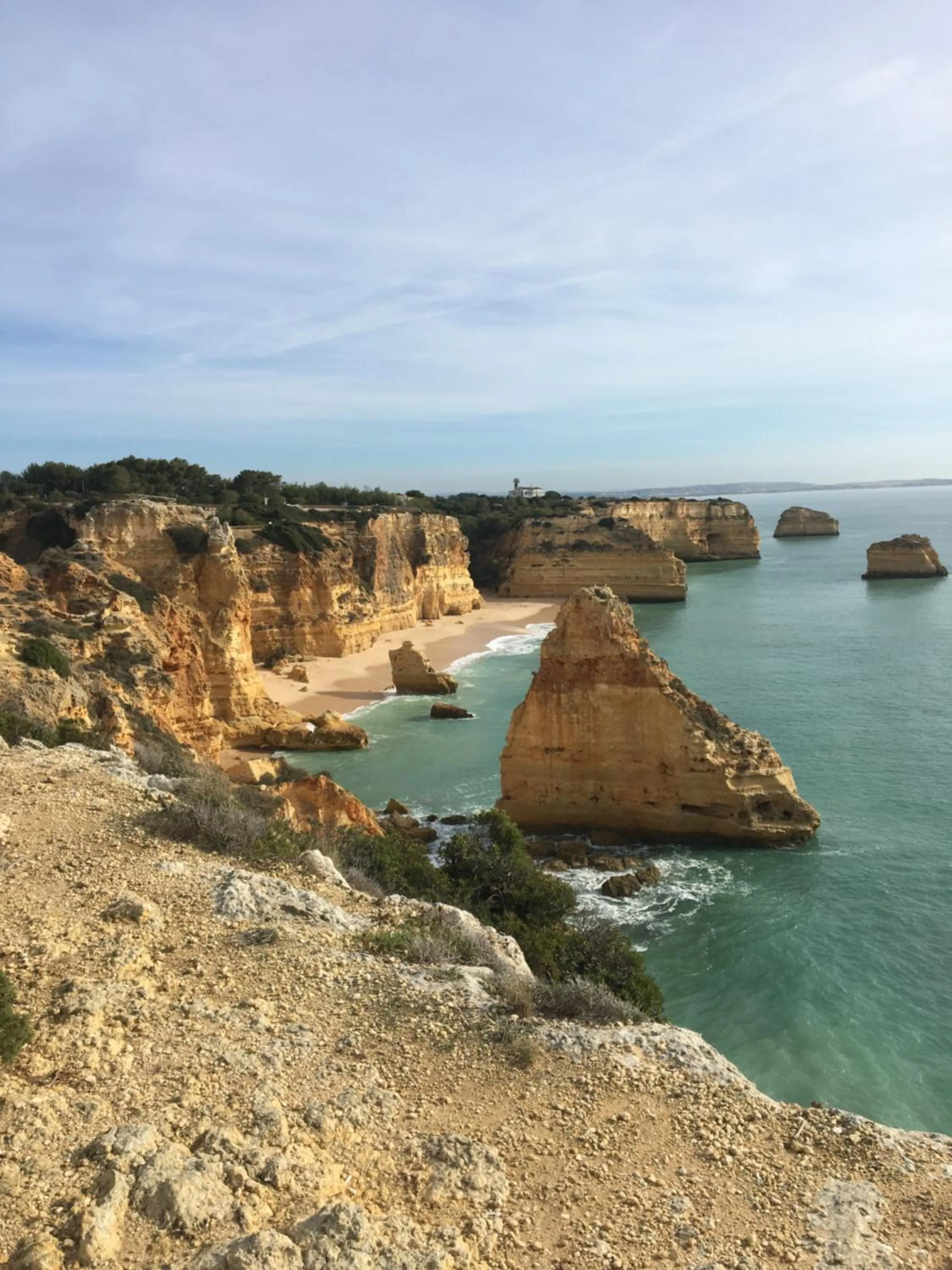 Natural landscape in Felicidade
