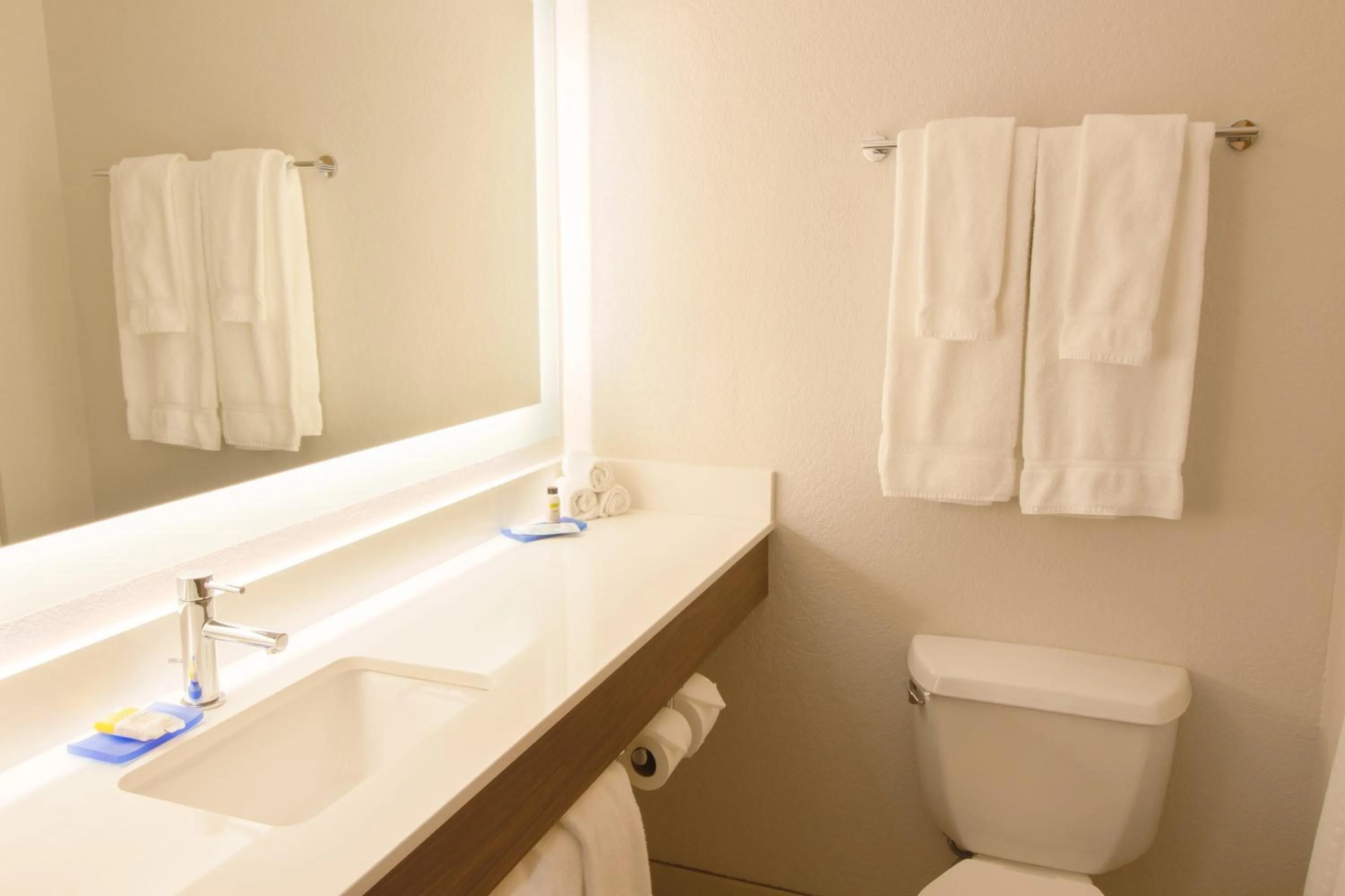 Bathroom in Holiday Inn Express & Suites - Worthington by IHG