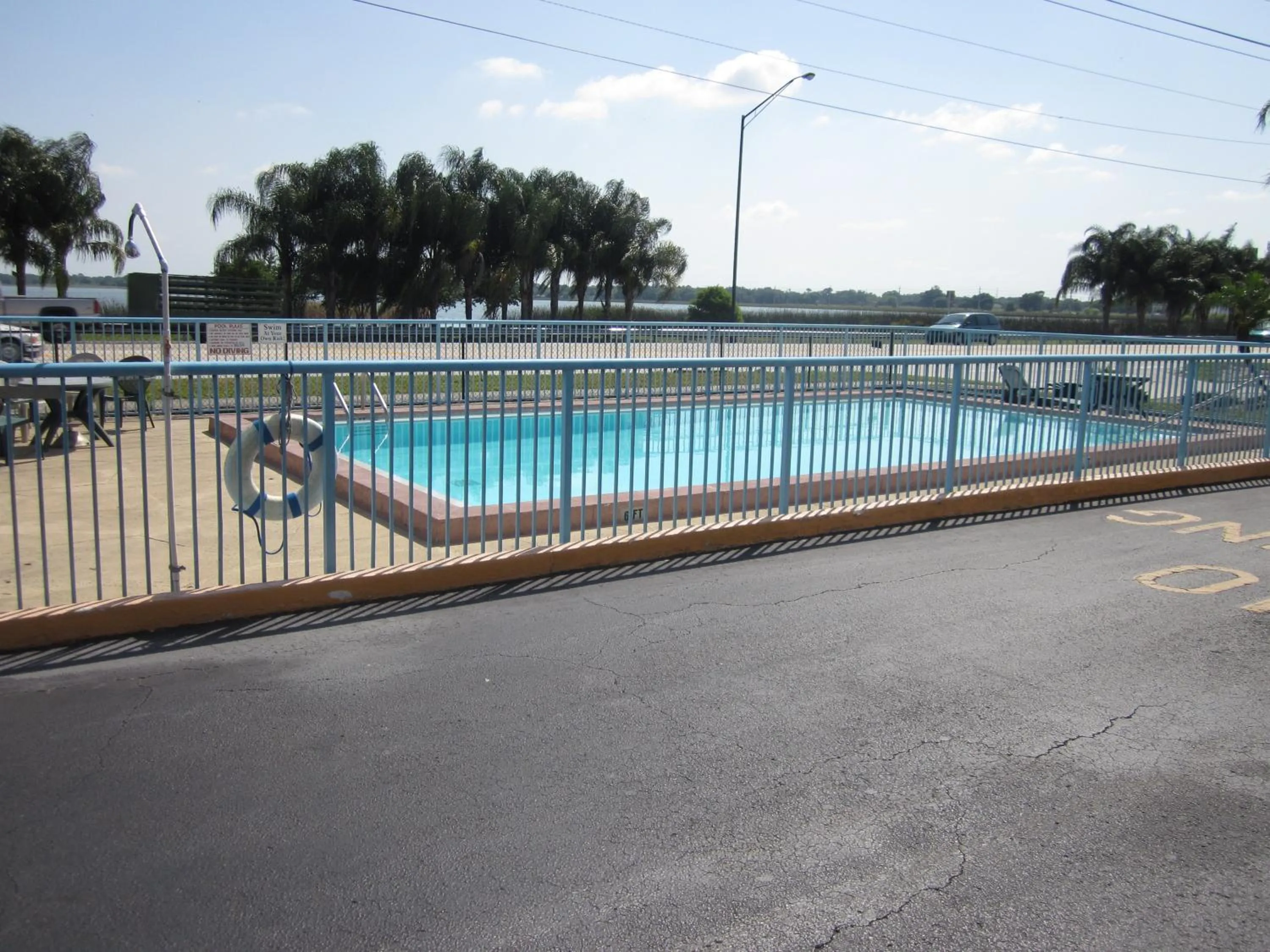 Swimming pool in Westmont Inn - Lakeland