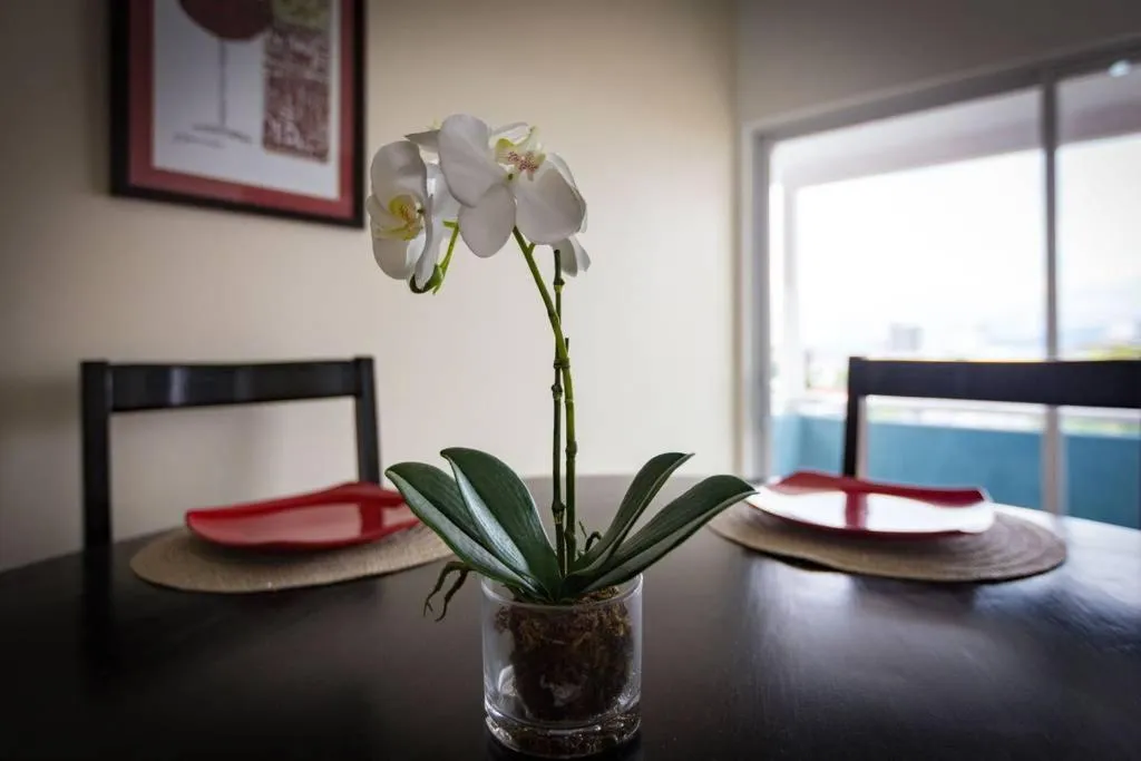 Dining area in The Brompton's Luxury Apartment