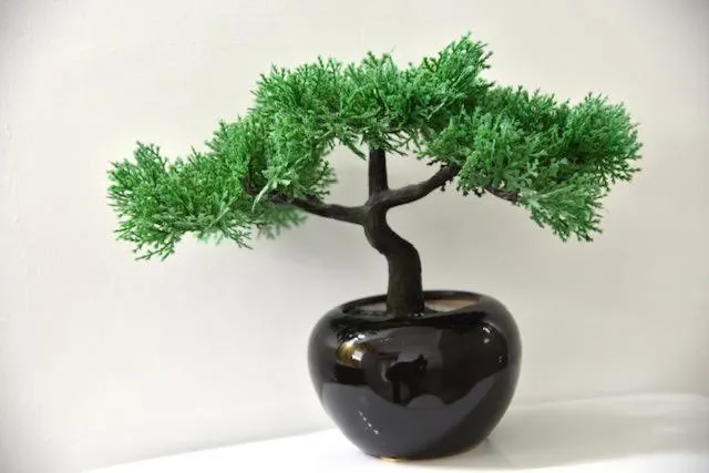 Decorative detail in The Brompton's Luxury Apartment