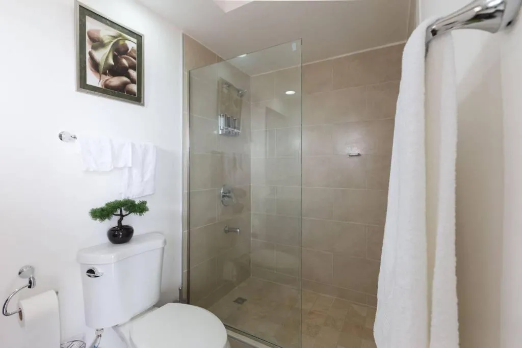 Shower in The Brompton's Luxury Apartment