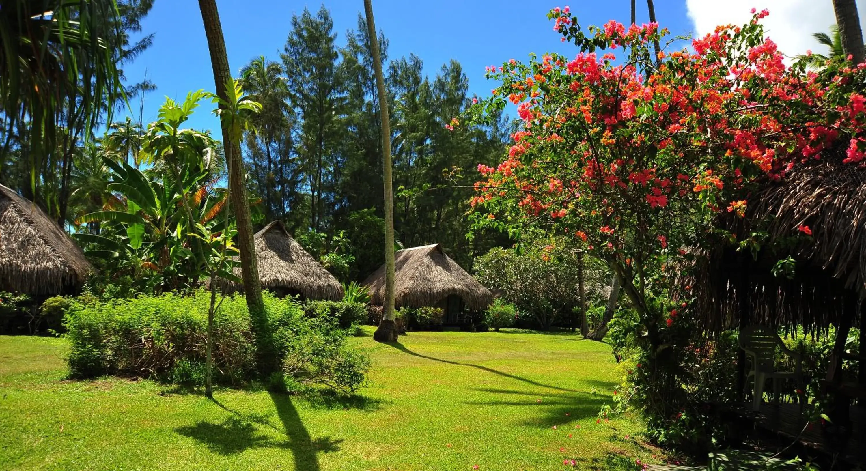 Bungalow with Garden View - Double in Hotel Hibiscus Bungalow with Garden View - Double in Hotel Hibiscus