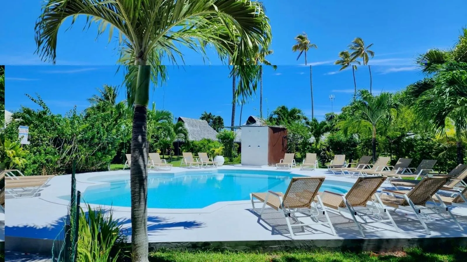 Swimming pool in Hotel Hibiscus