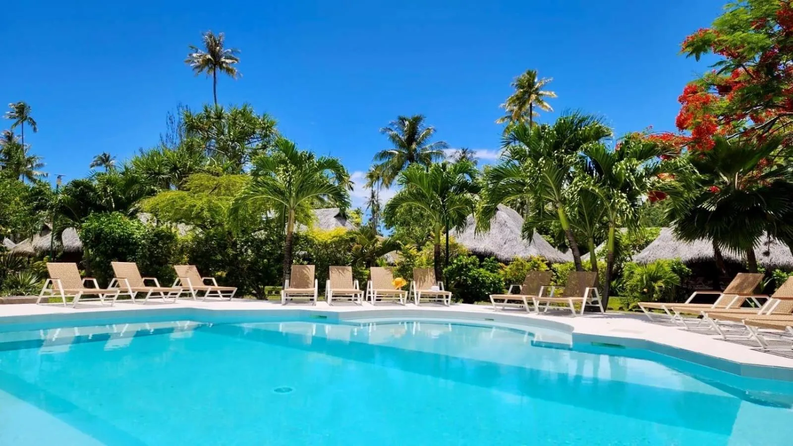 Swimming pool in Hotel Hibiscus