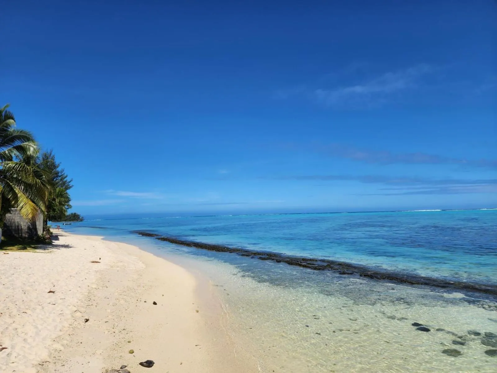 Beach in Hotel Hibiscus
