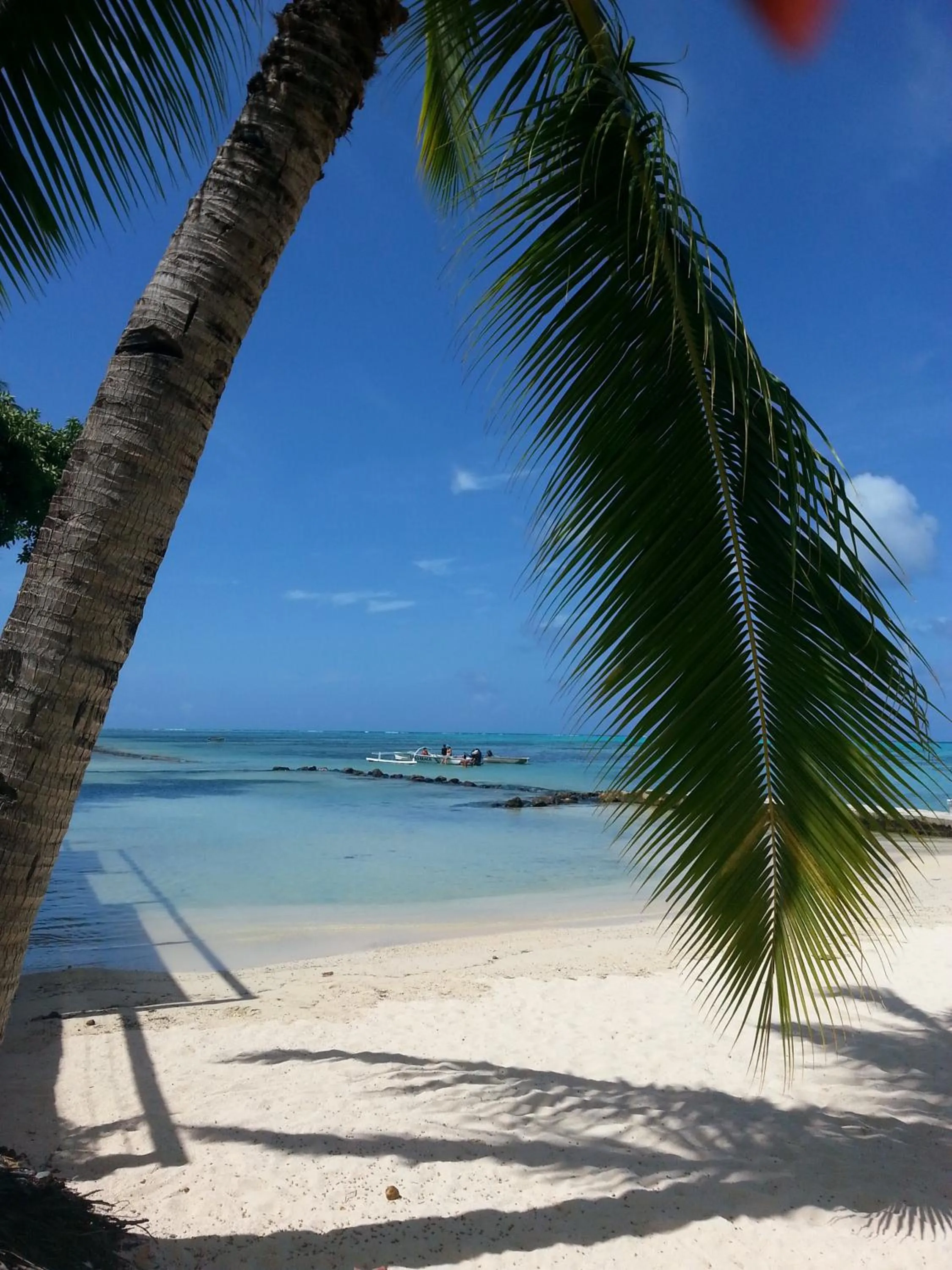 Beach in Hotel Hibiscus